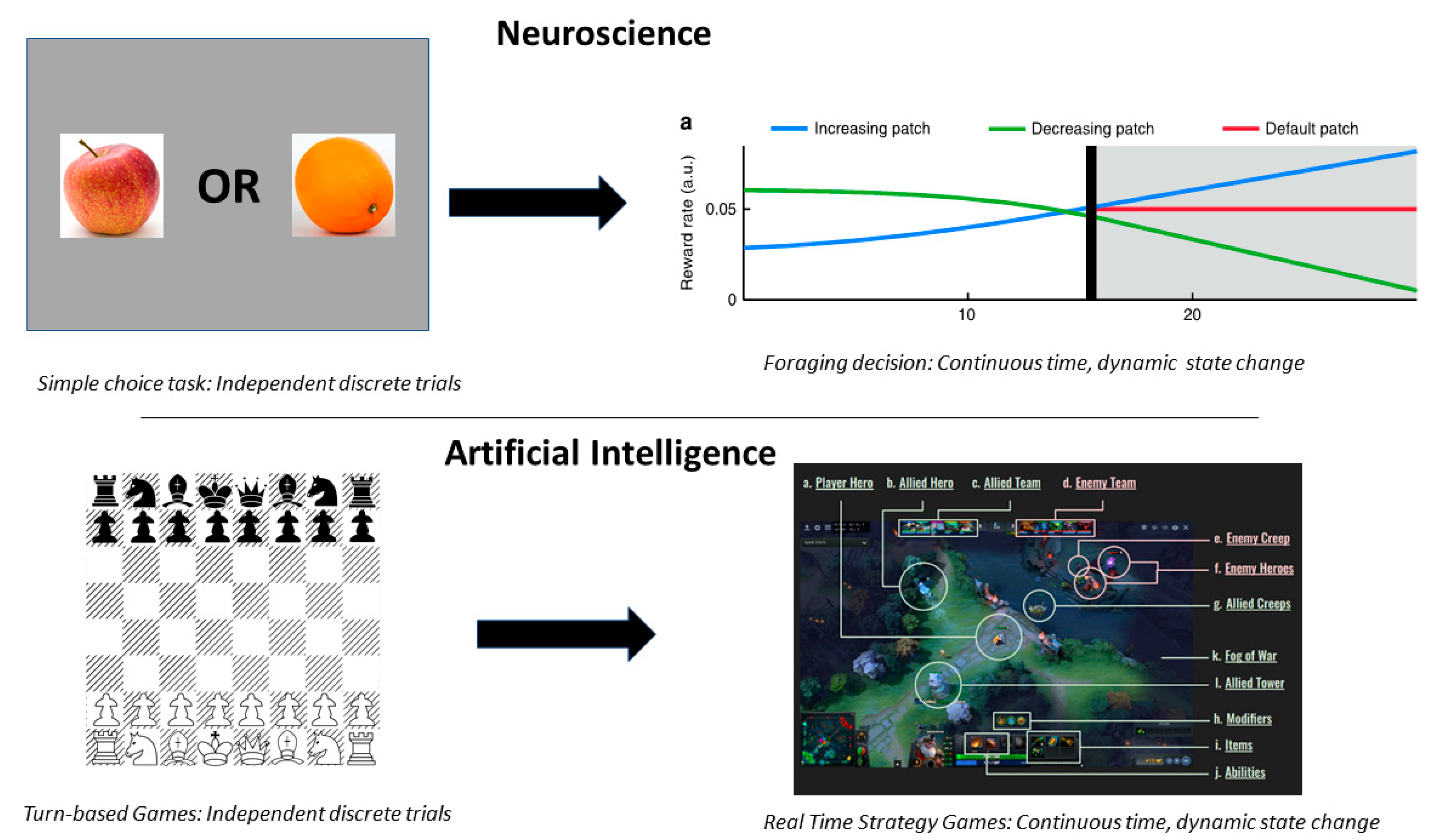 Brainsci 10 00396 g007