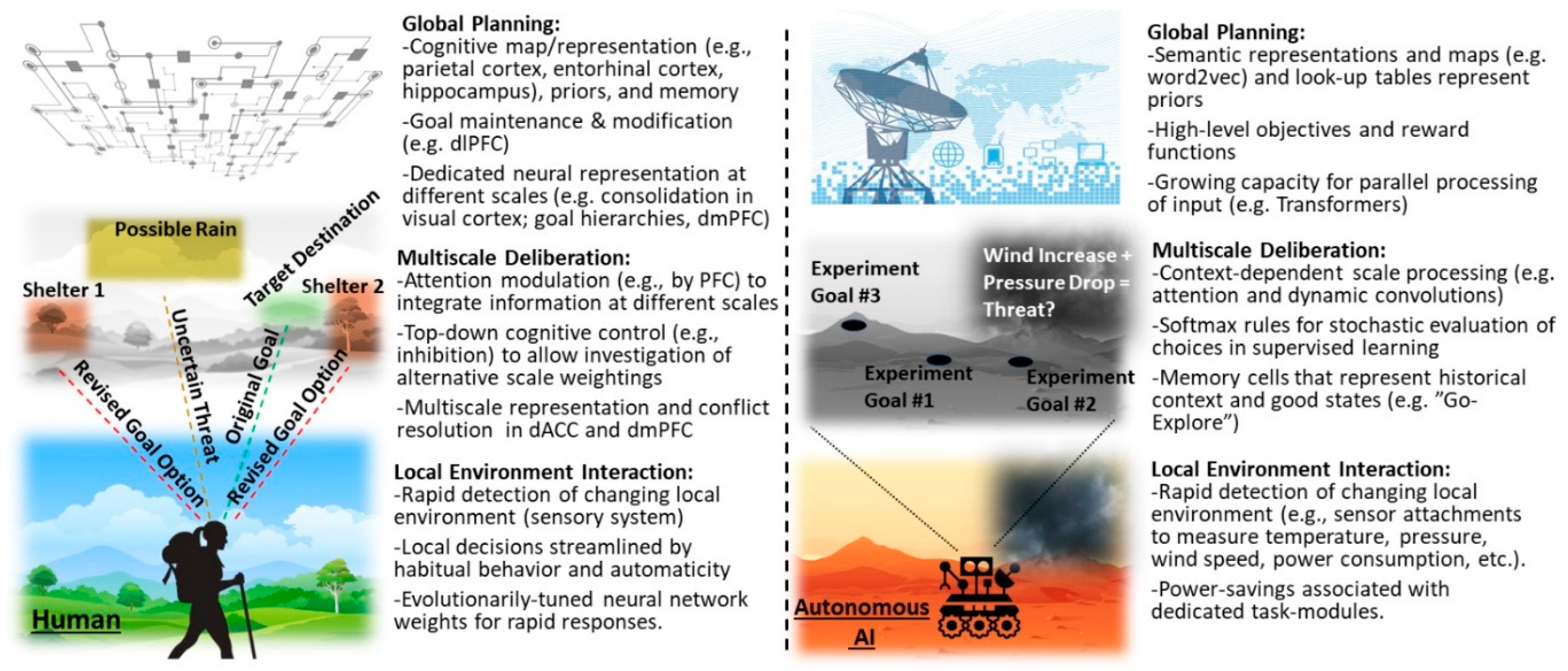 Brainsci 10 00396 g008