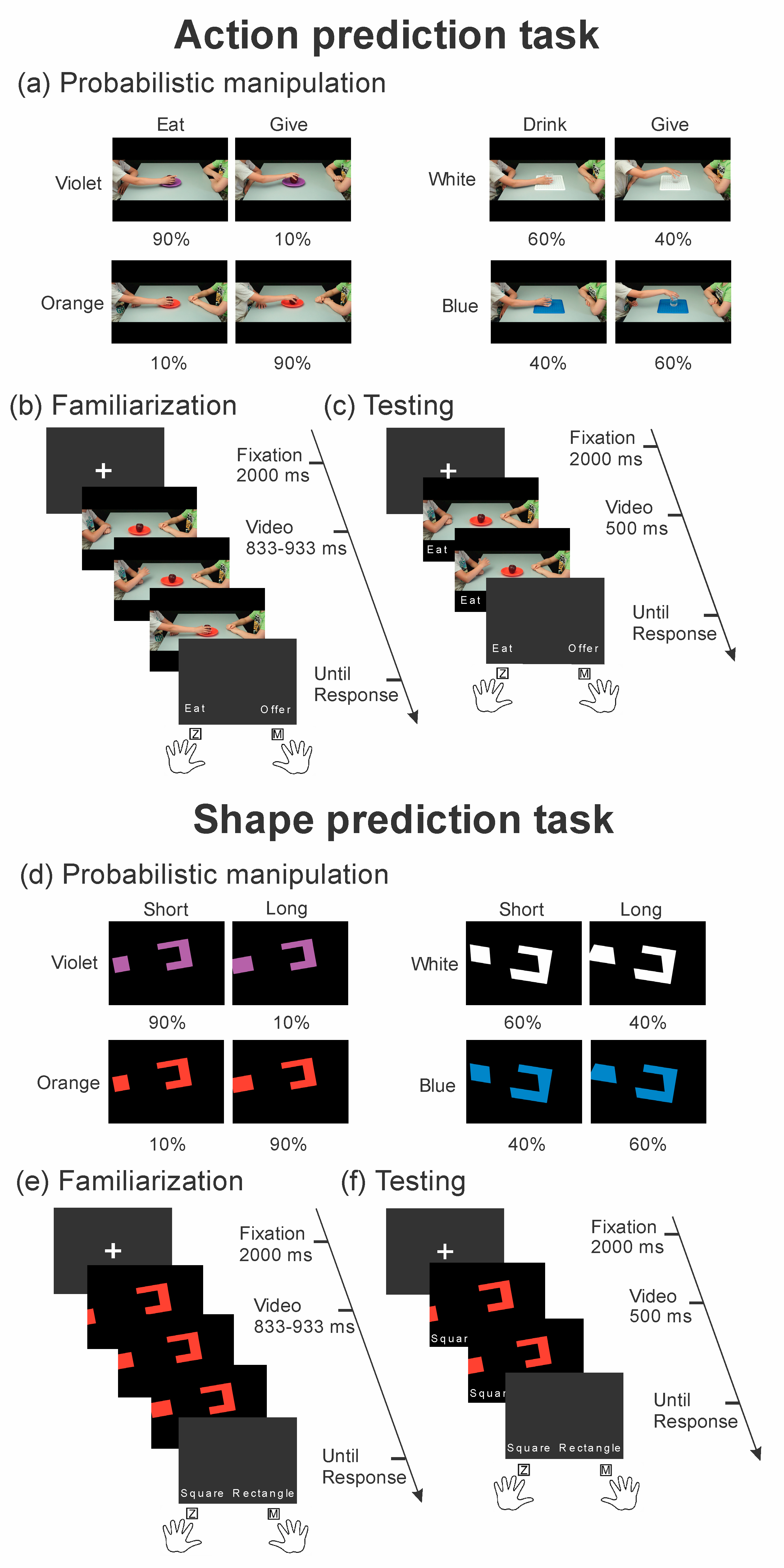 Brainsci 10 00418 g001