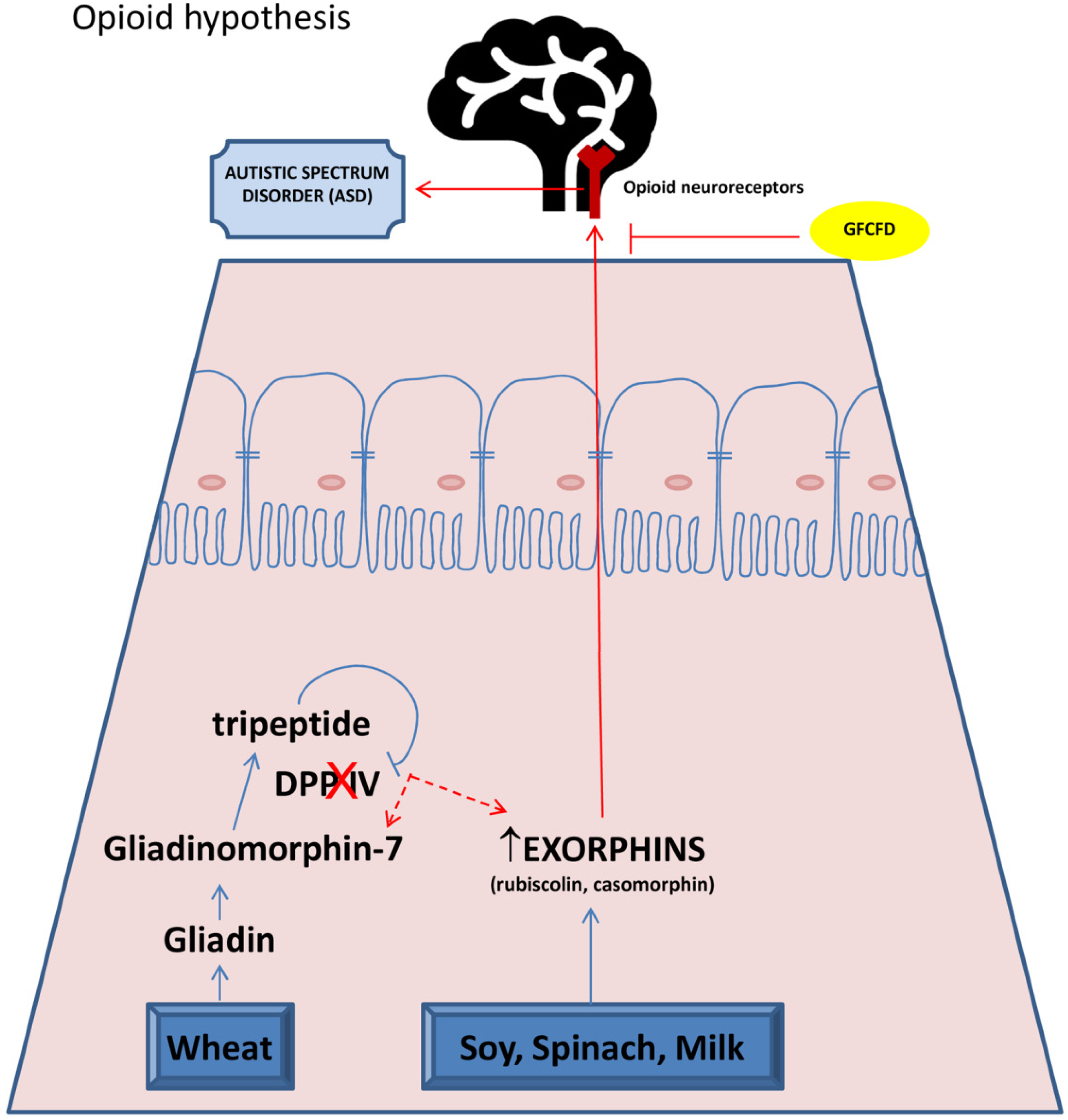 Brainsci 10 00437 g001