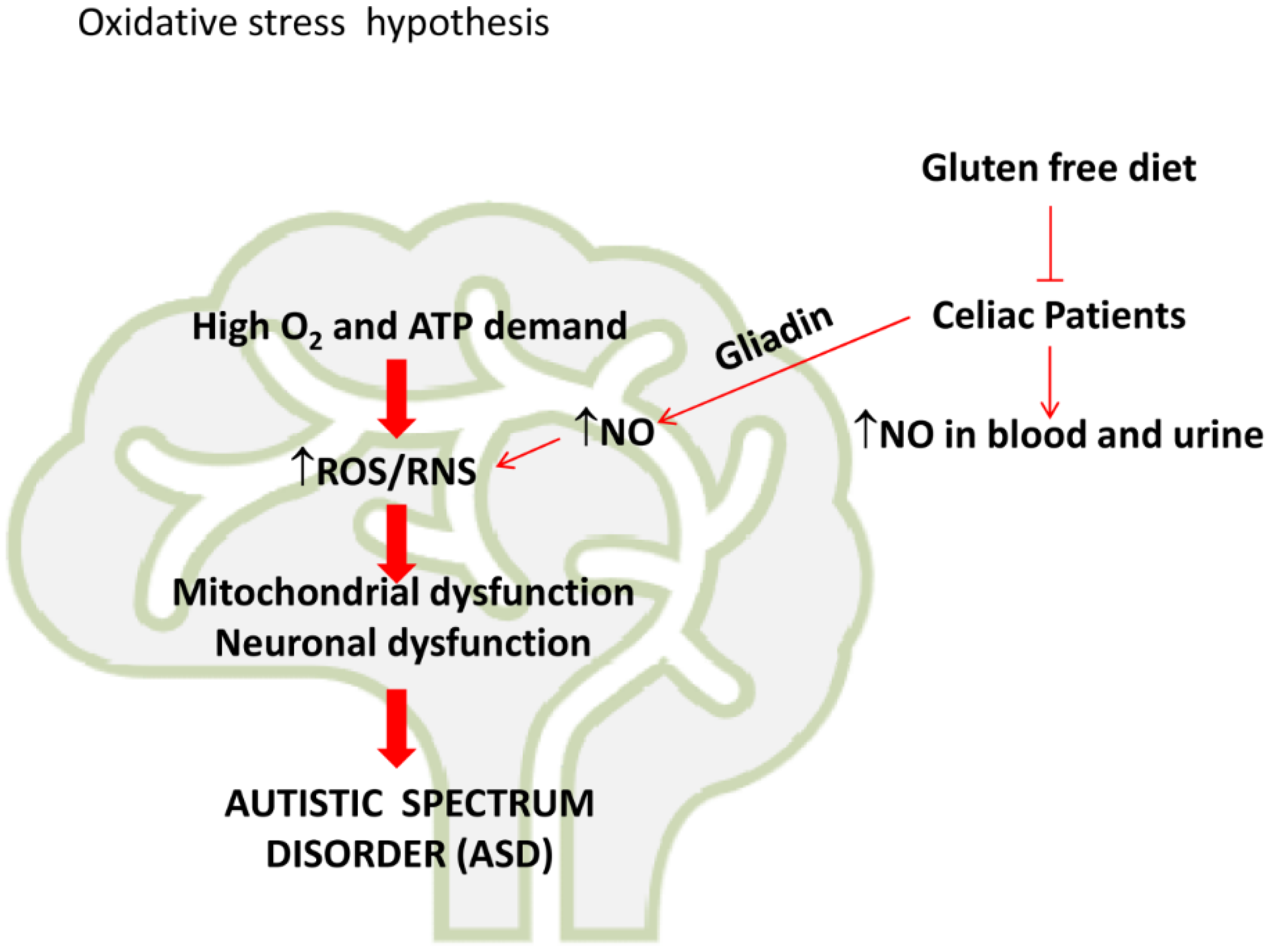 Brainsci 10 00437 g002