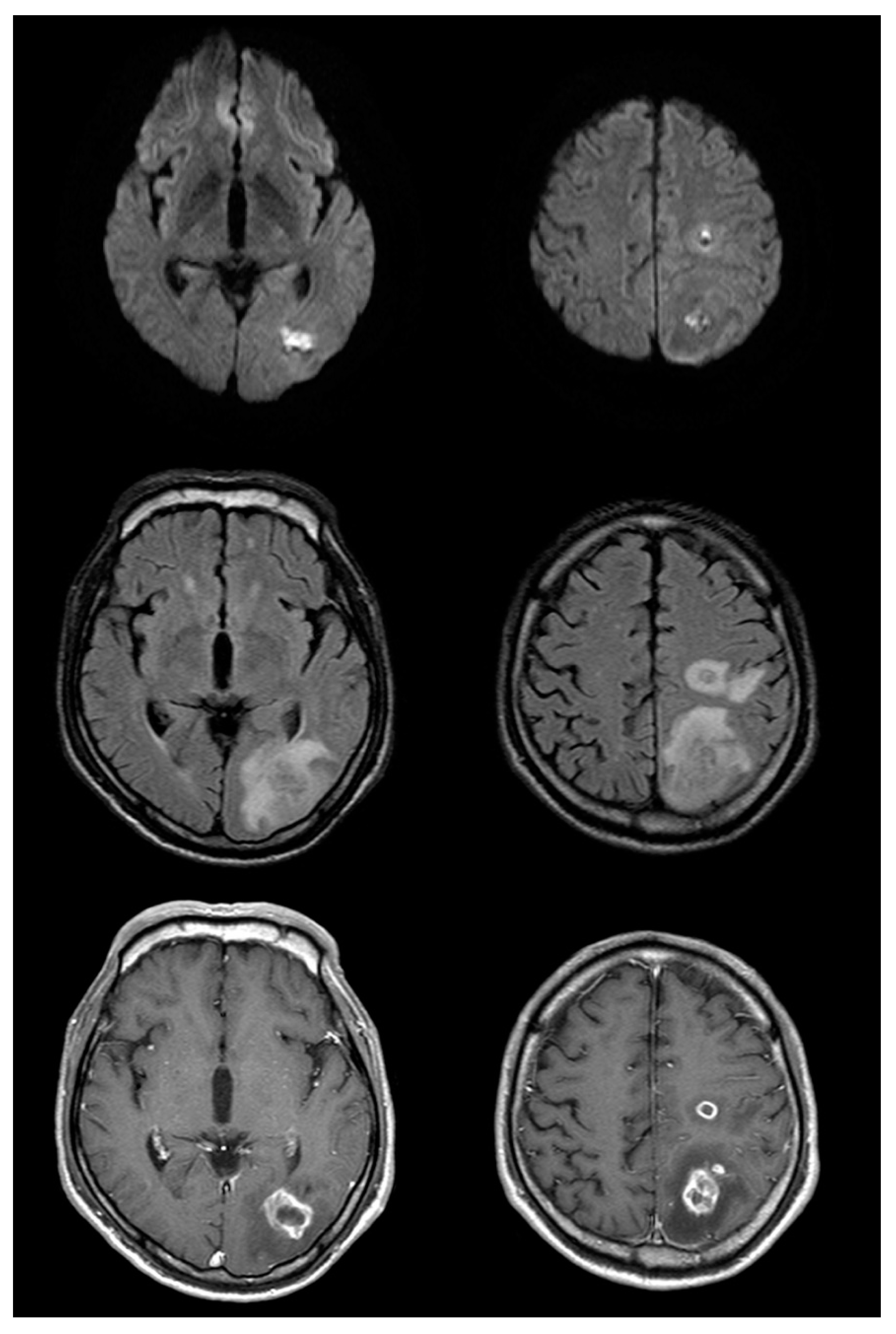 Brainsci 10 00440 g002