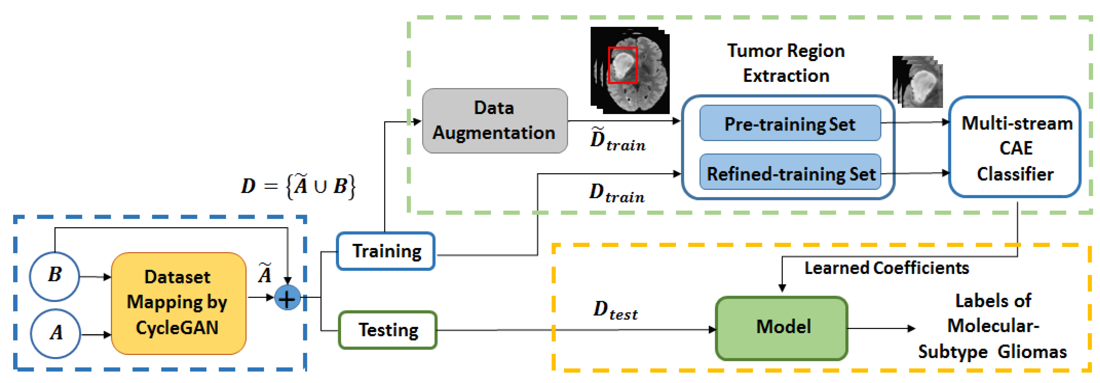 Brainsci 10 00463 g001