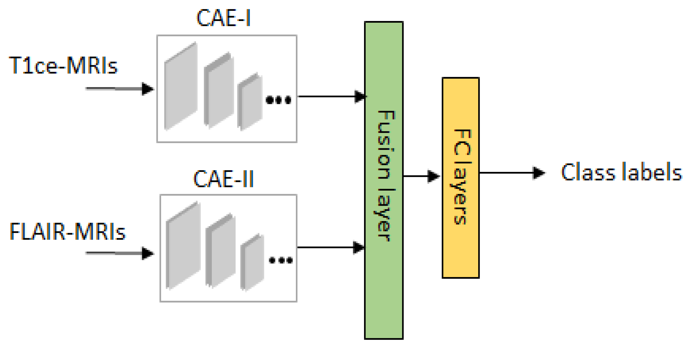 Brainsci 10 00463 g004