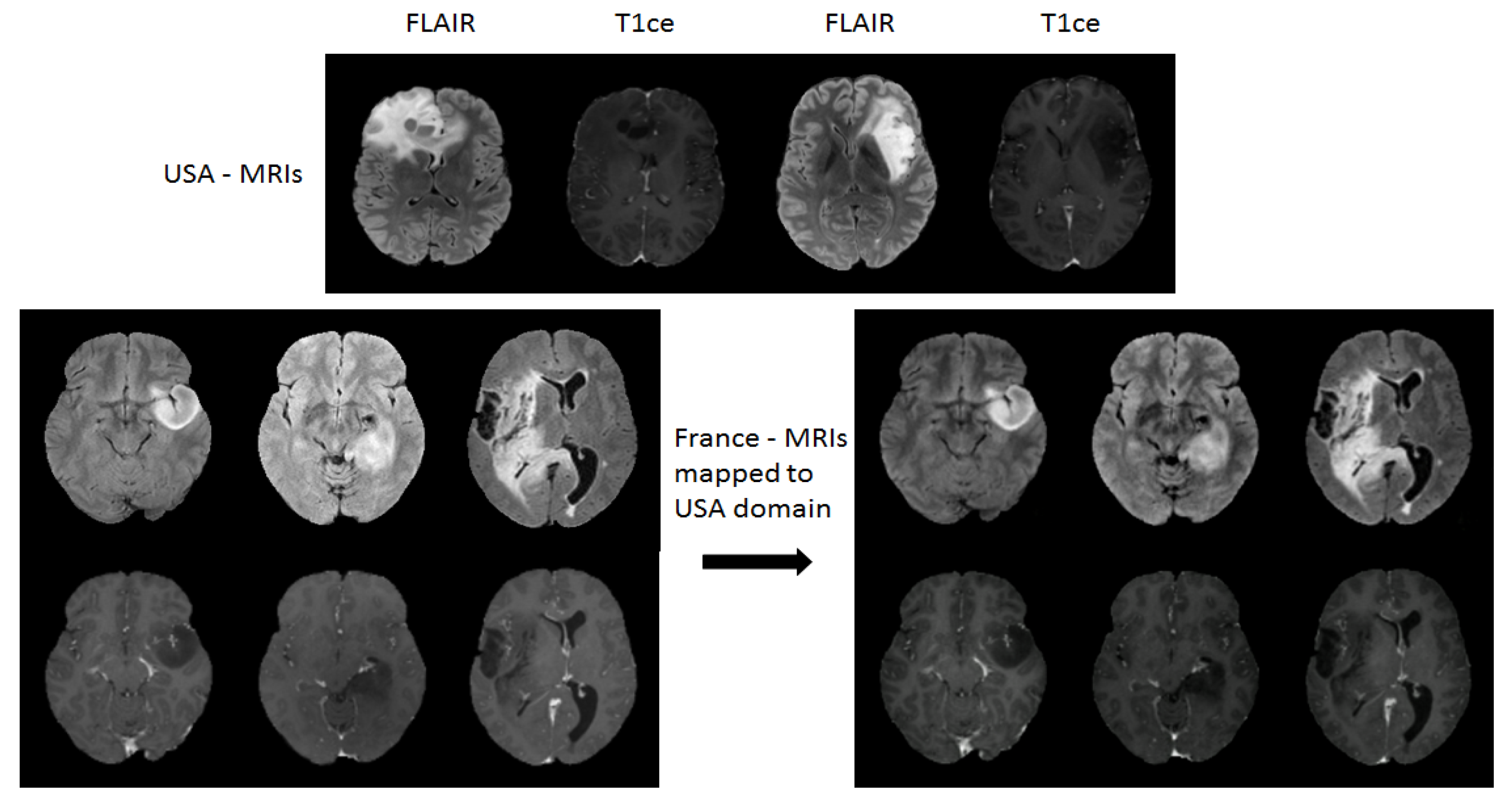 Brainsci 10 00463 g007