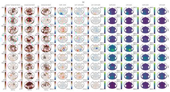 Brainsci 10 00469 g0a3
