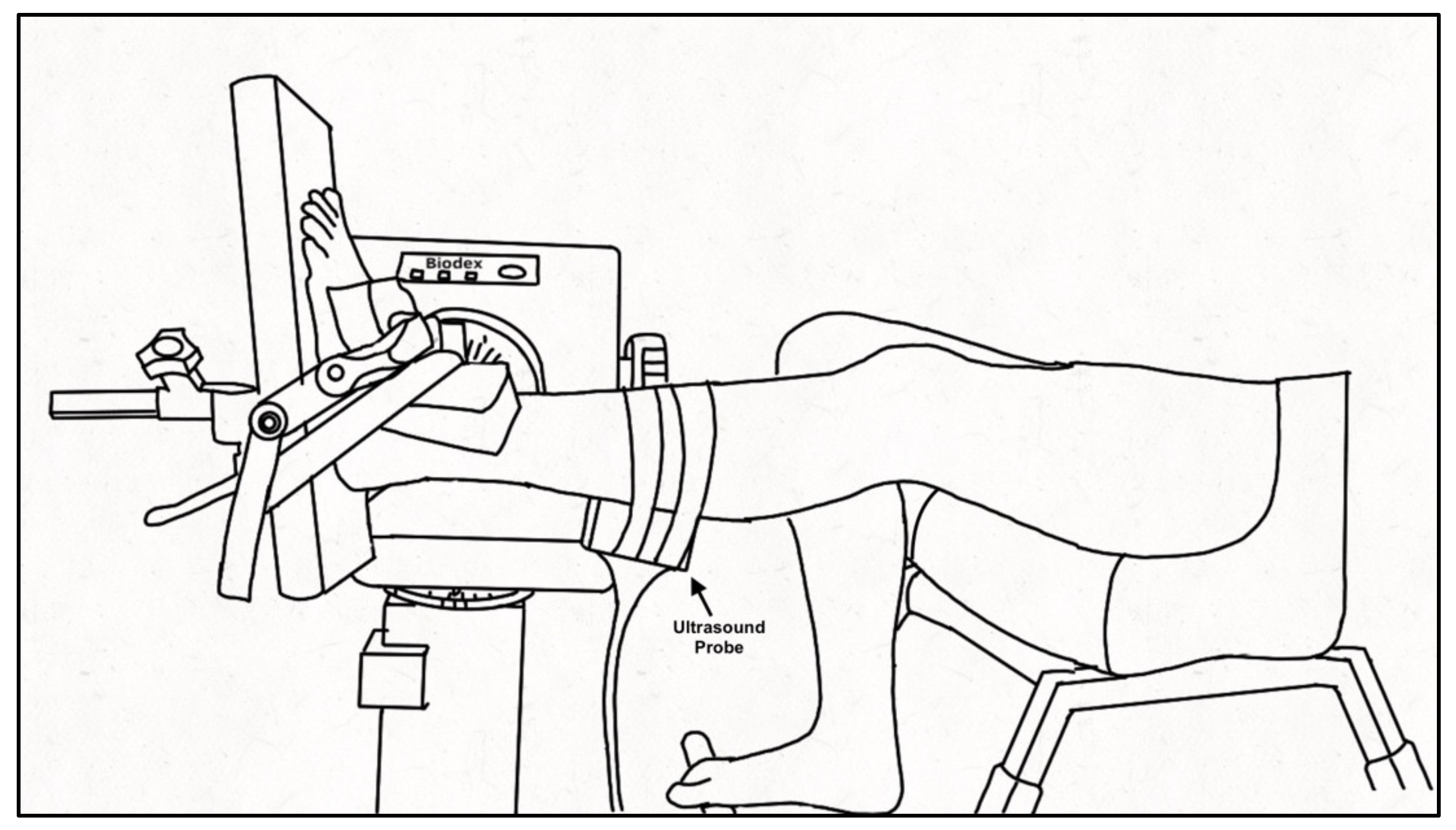 Brainsci 10 00471 g001 Brainsci 10 00471 g001