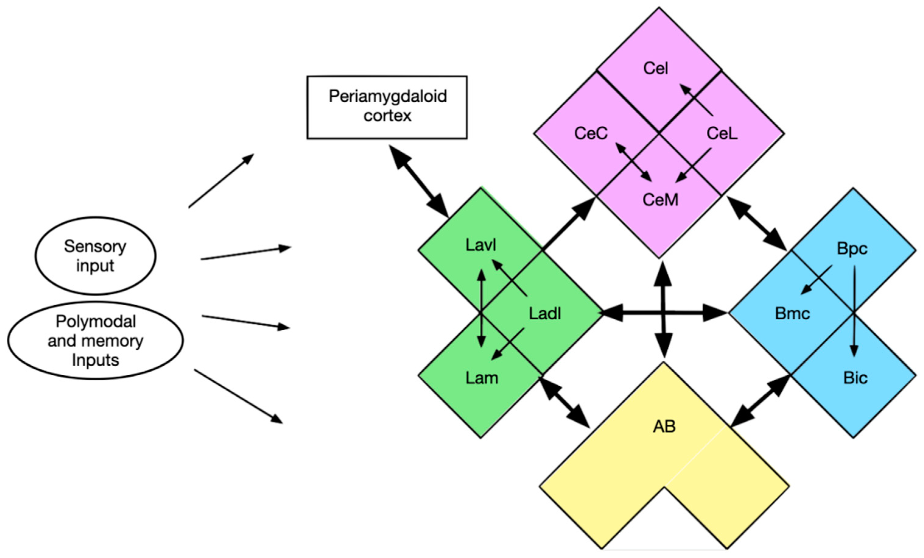 Brainsci 10 00502 g006