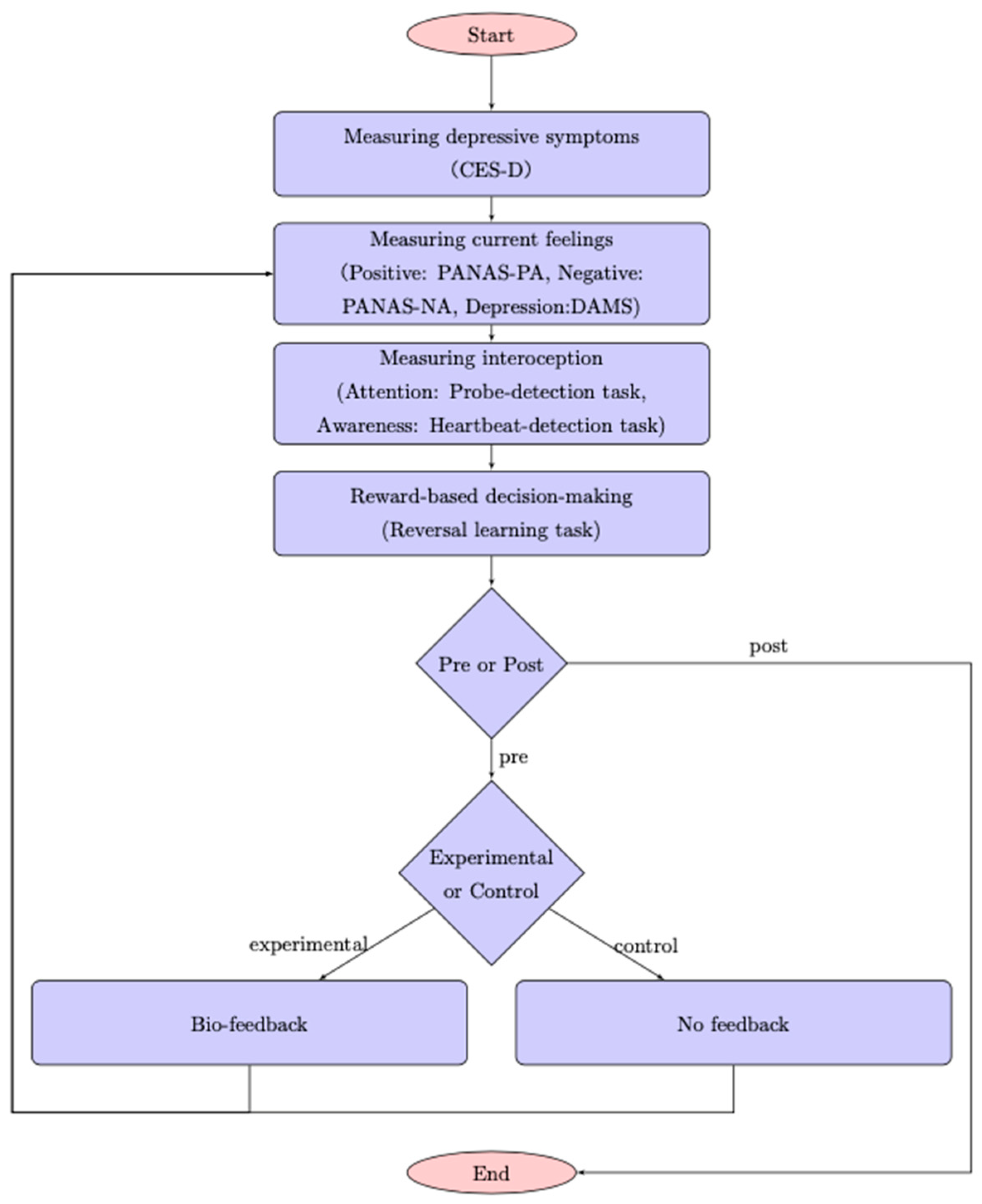 Brainsci 10 00508 g002