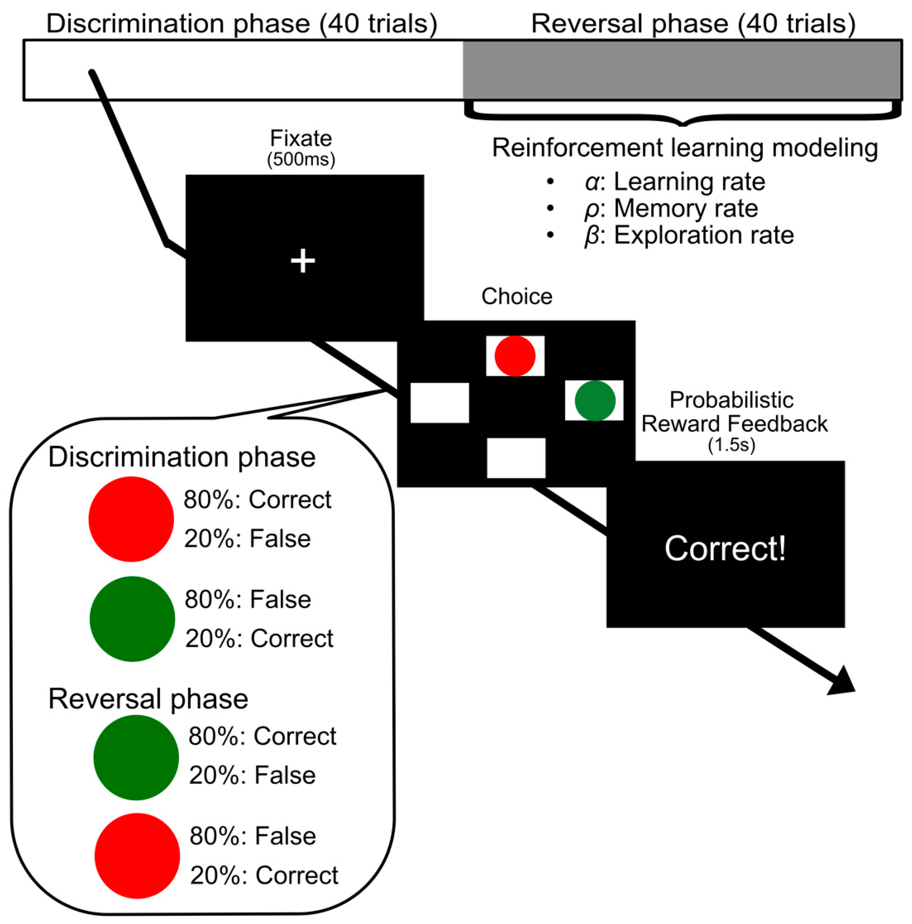 Brainsci 10 00508 g003
