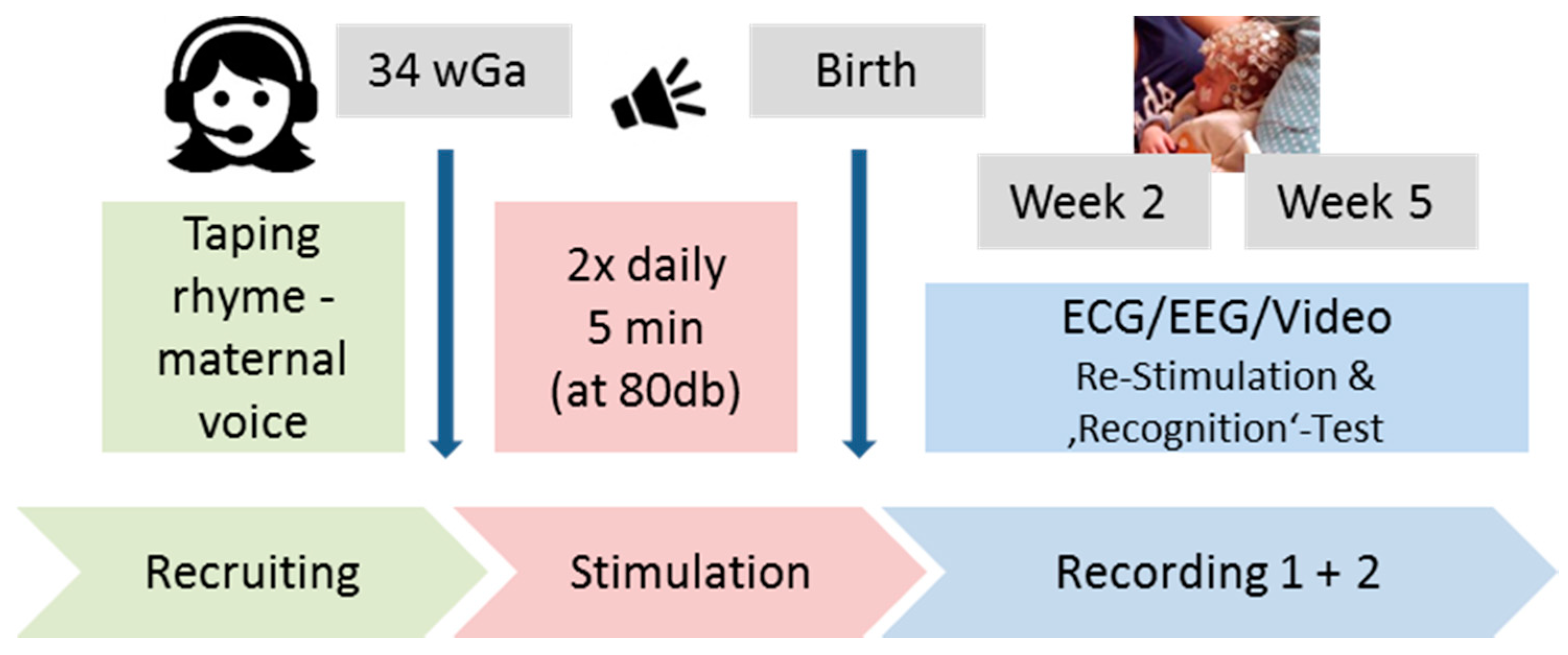 Brainsci 10 00511 g001