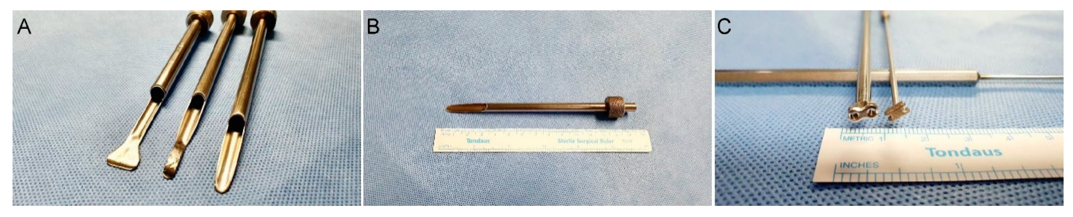 Brainsci 10 00516 g001 Brainsci 10 00516 g001