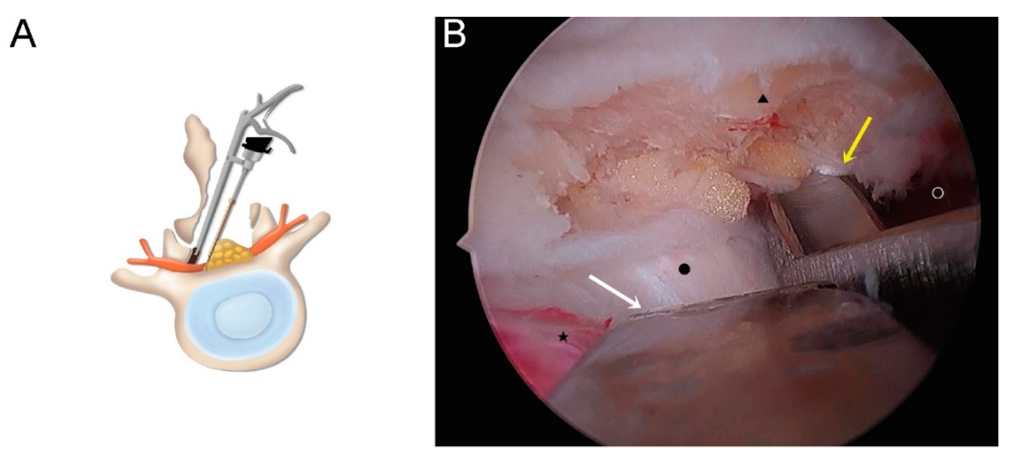 Brainsci 10 00516 g003 Brainsci 10 00516 g003