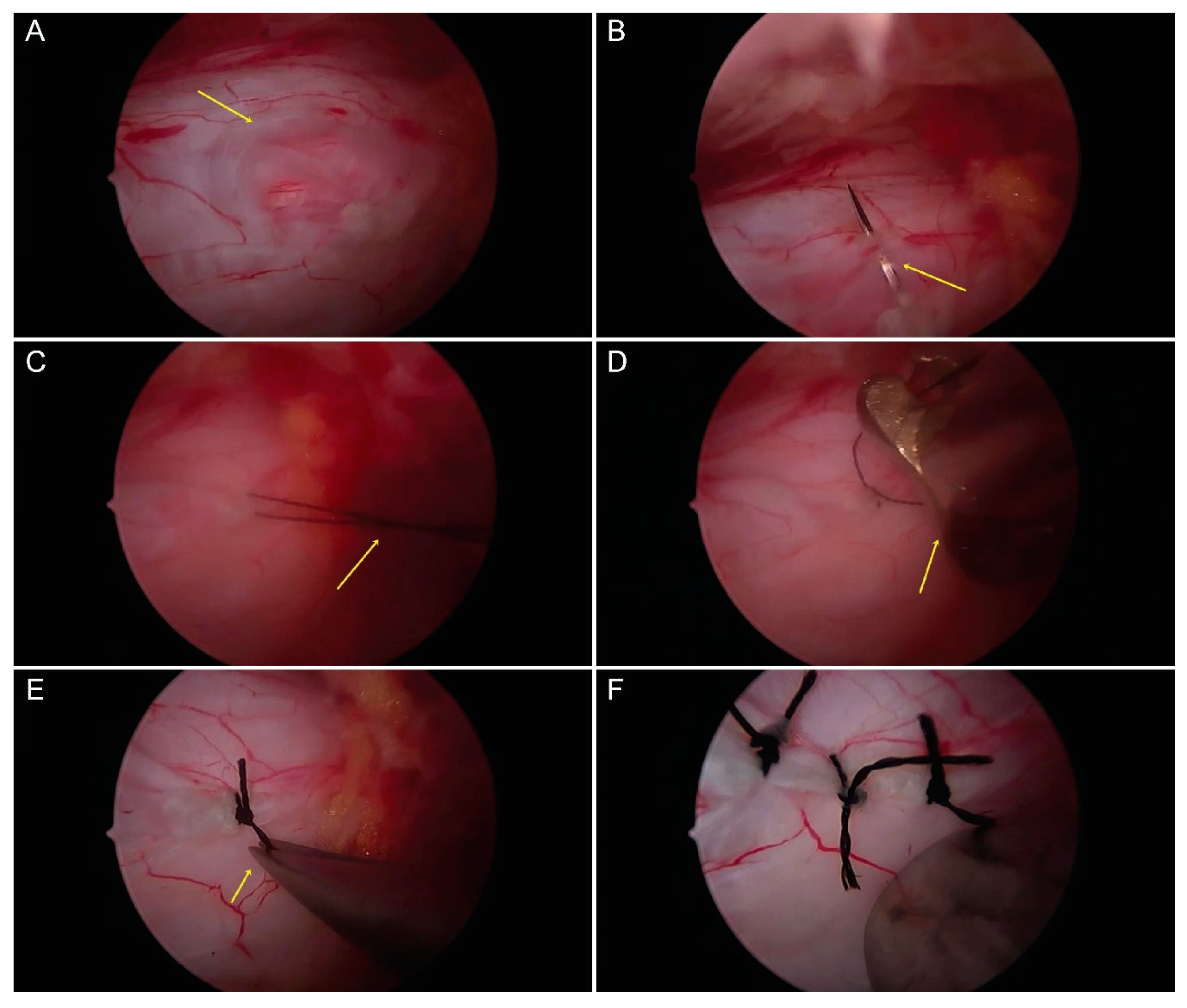 Brainsci 10 00516 g004 Brainsci 10 00516 g004