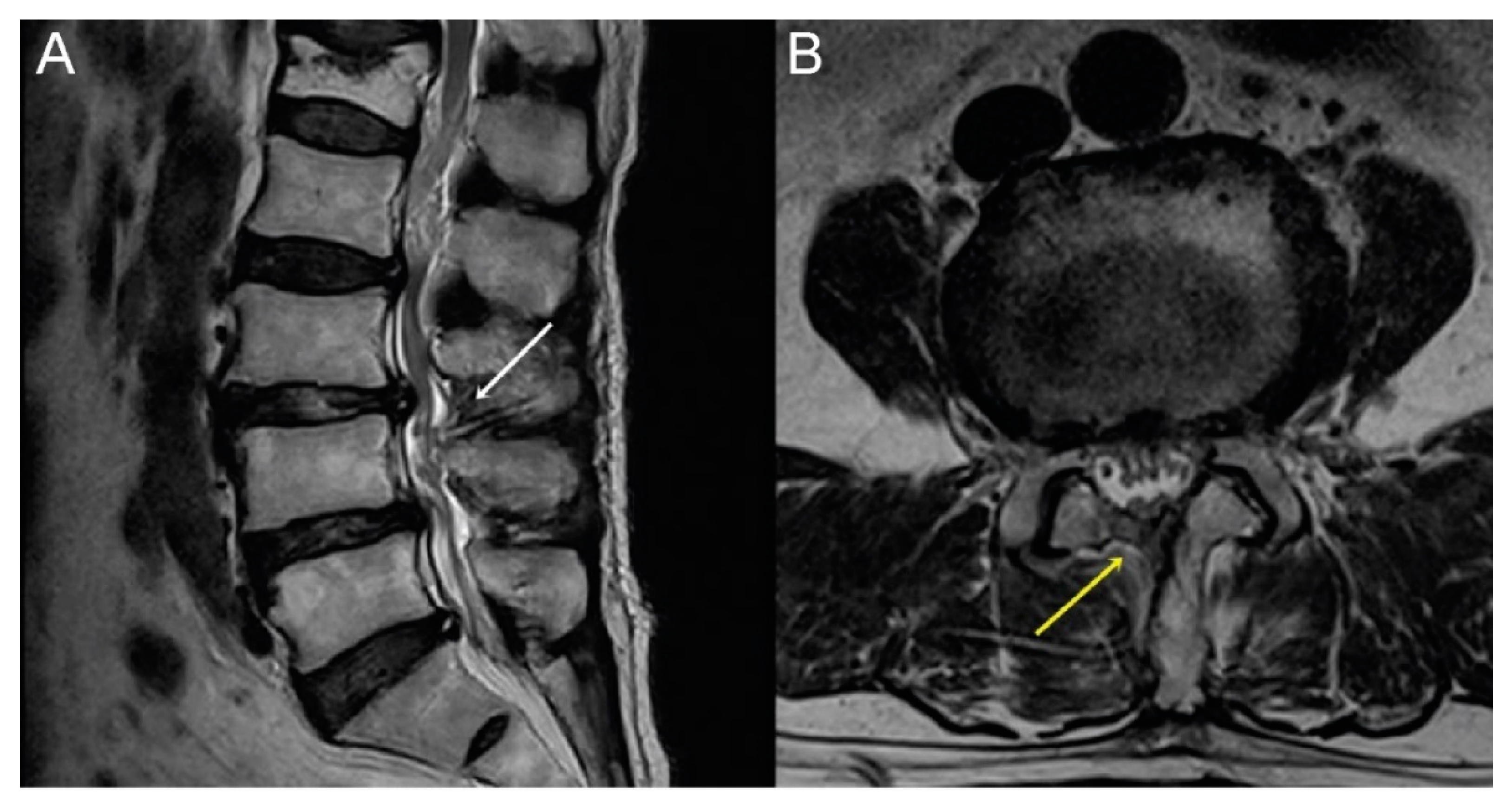 Brainsci 10 00516 g006 Brainsci 10 00516 g006