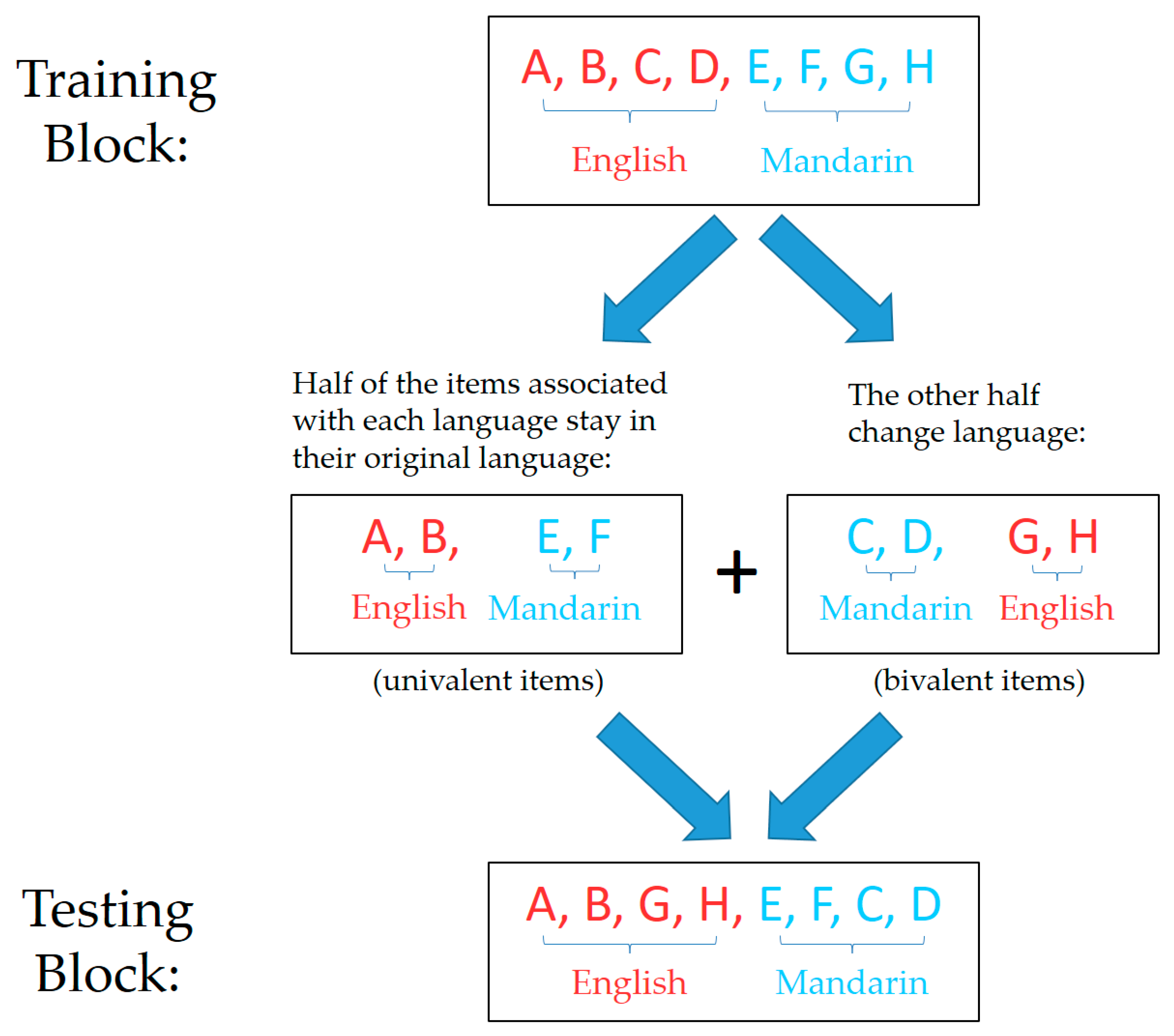 Brainsci 10 00517 g002