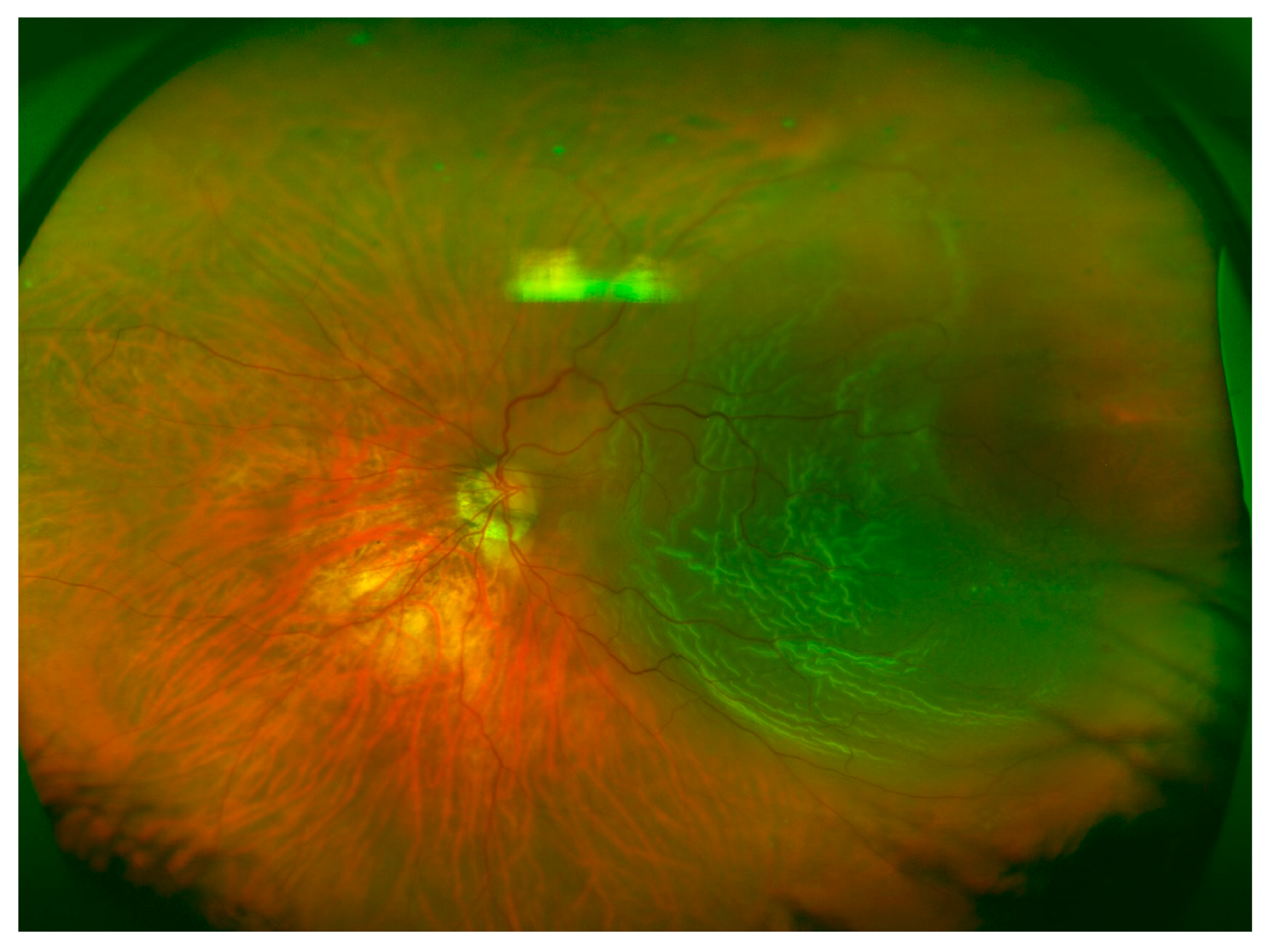 Brainsci 10 00521 g003