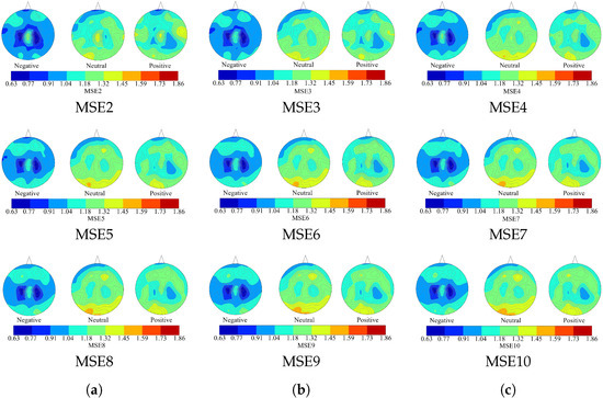 Brainsci 10 00527 g0a12