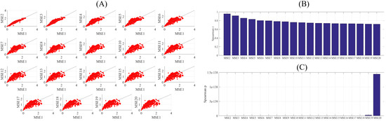 Brainsci 10 00527 g0a23