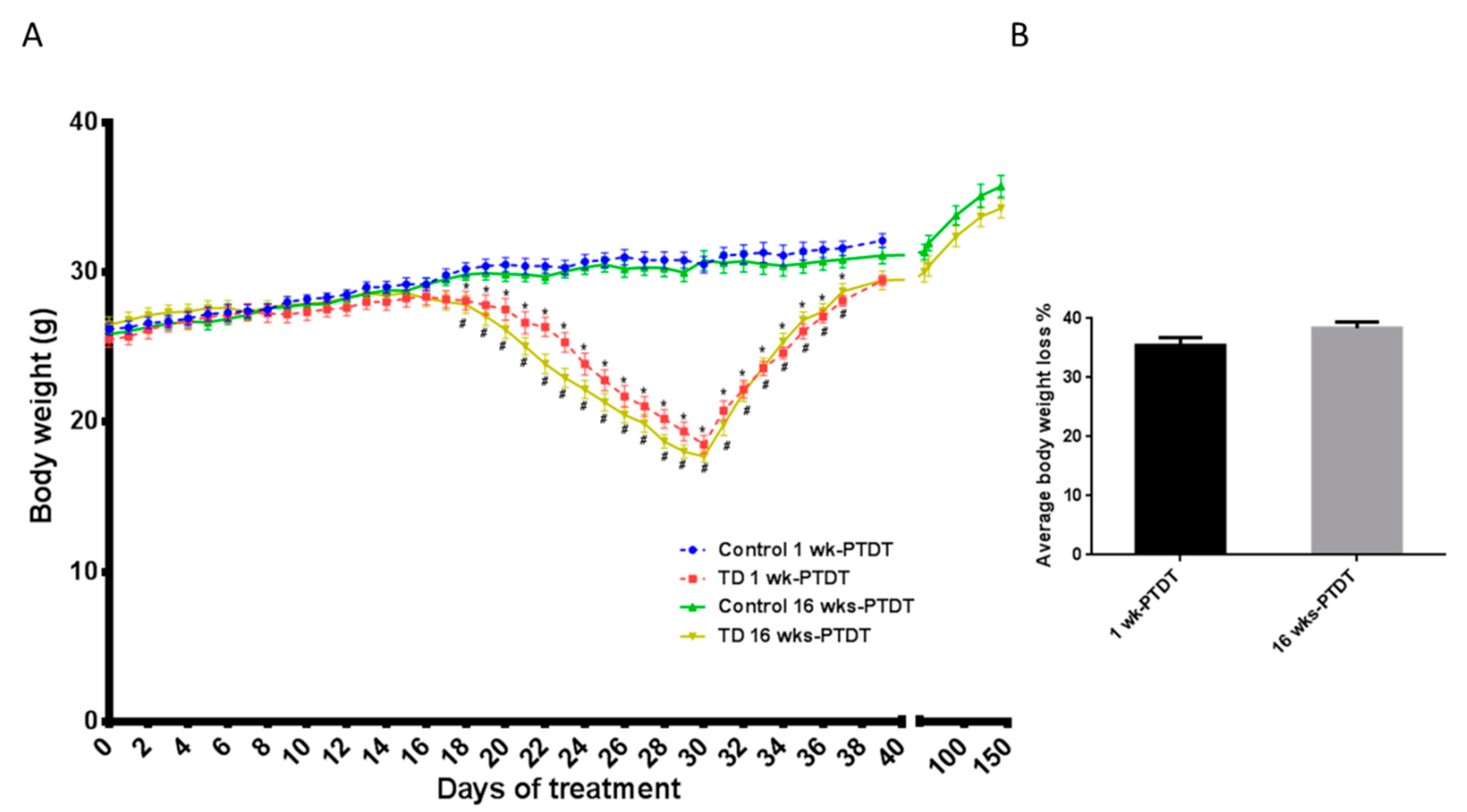 Brainsci 10 00565 g002