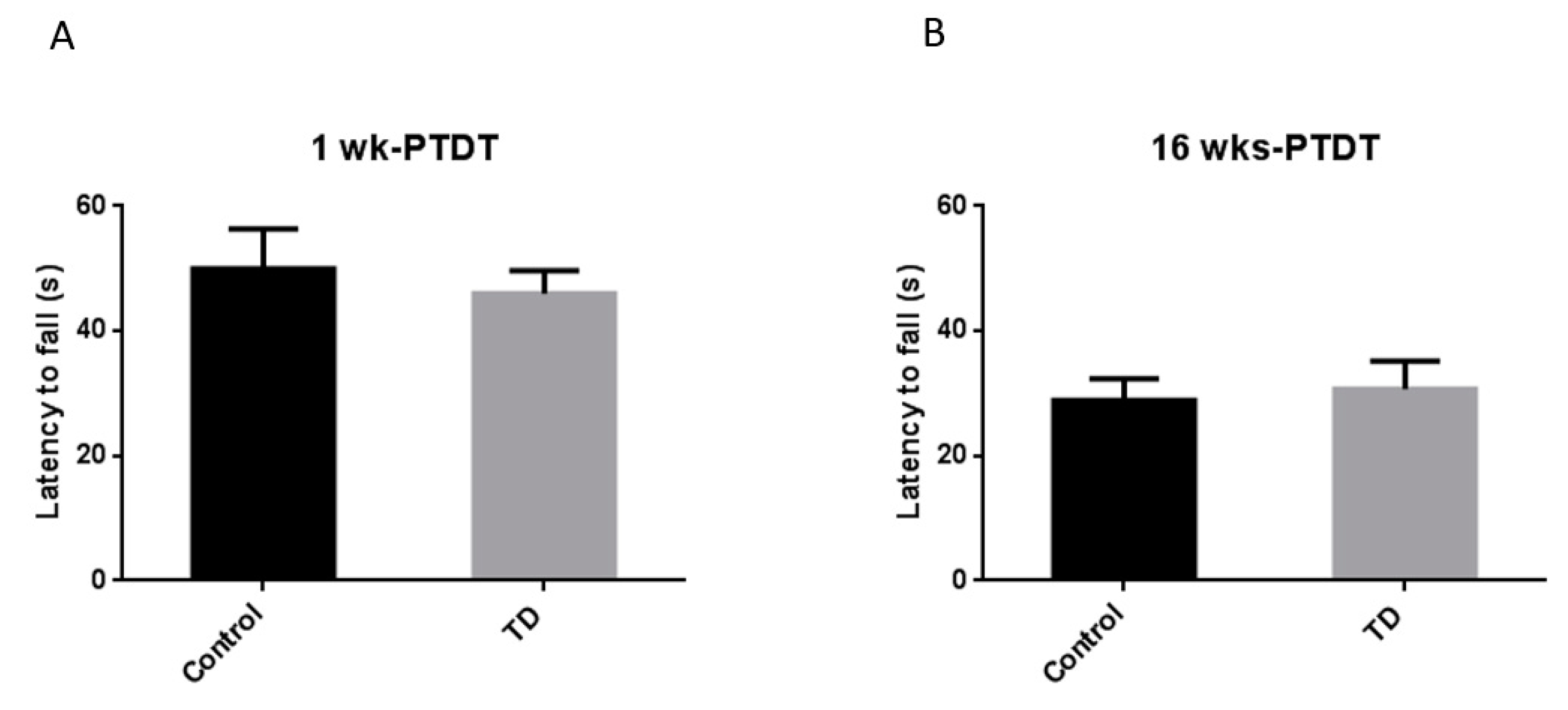 Brainsci 10 00565 g005
