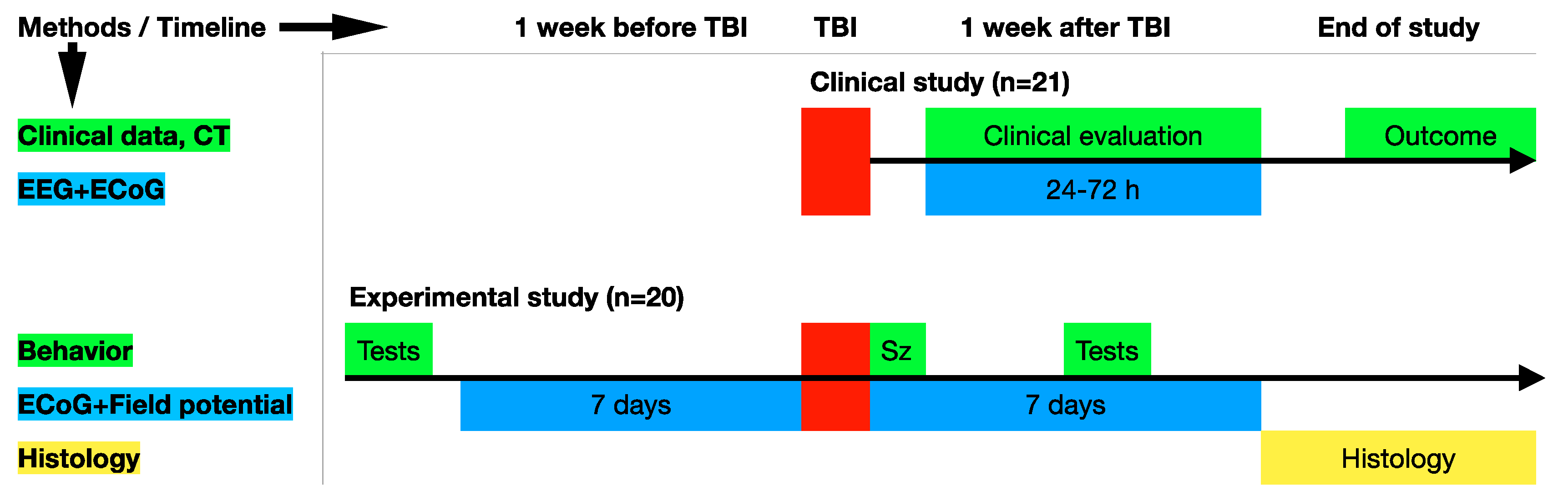 Brainsci 10 00570 g001