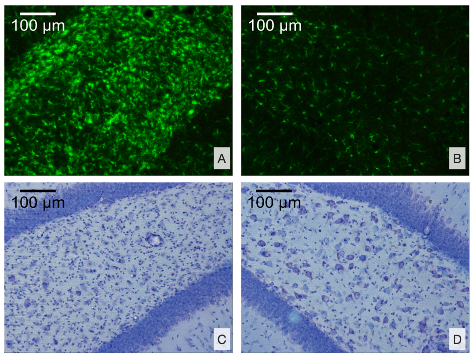 Brainsci 10 00570 g006