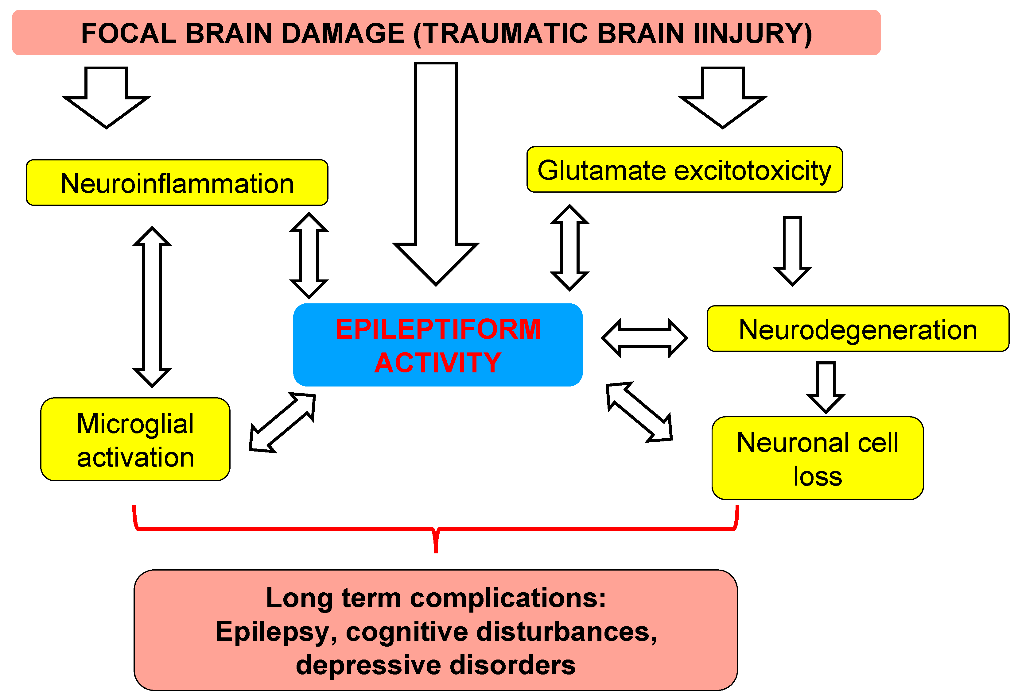 Brainsci 10 00570 g008