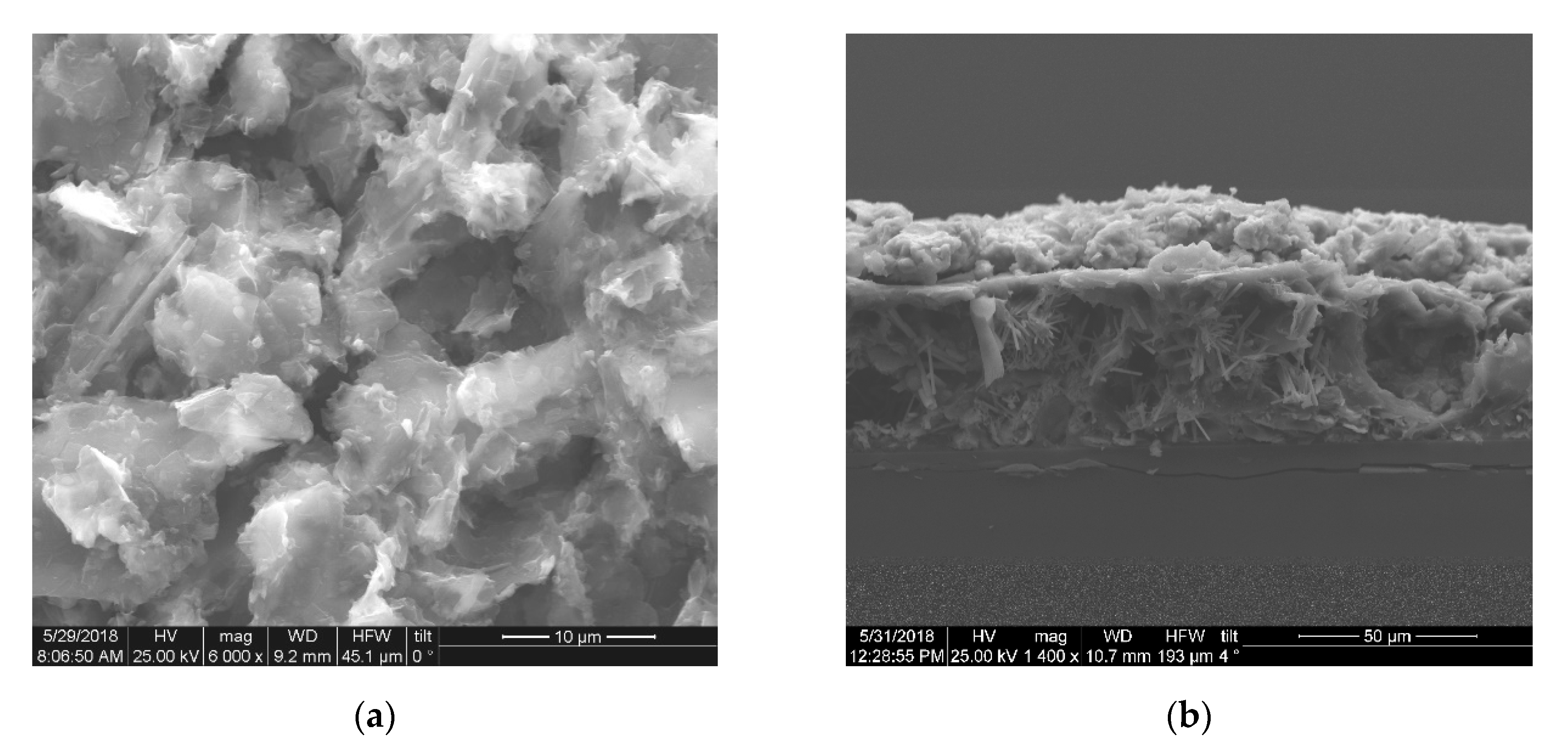 Brainsci 10 00577 g001