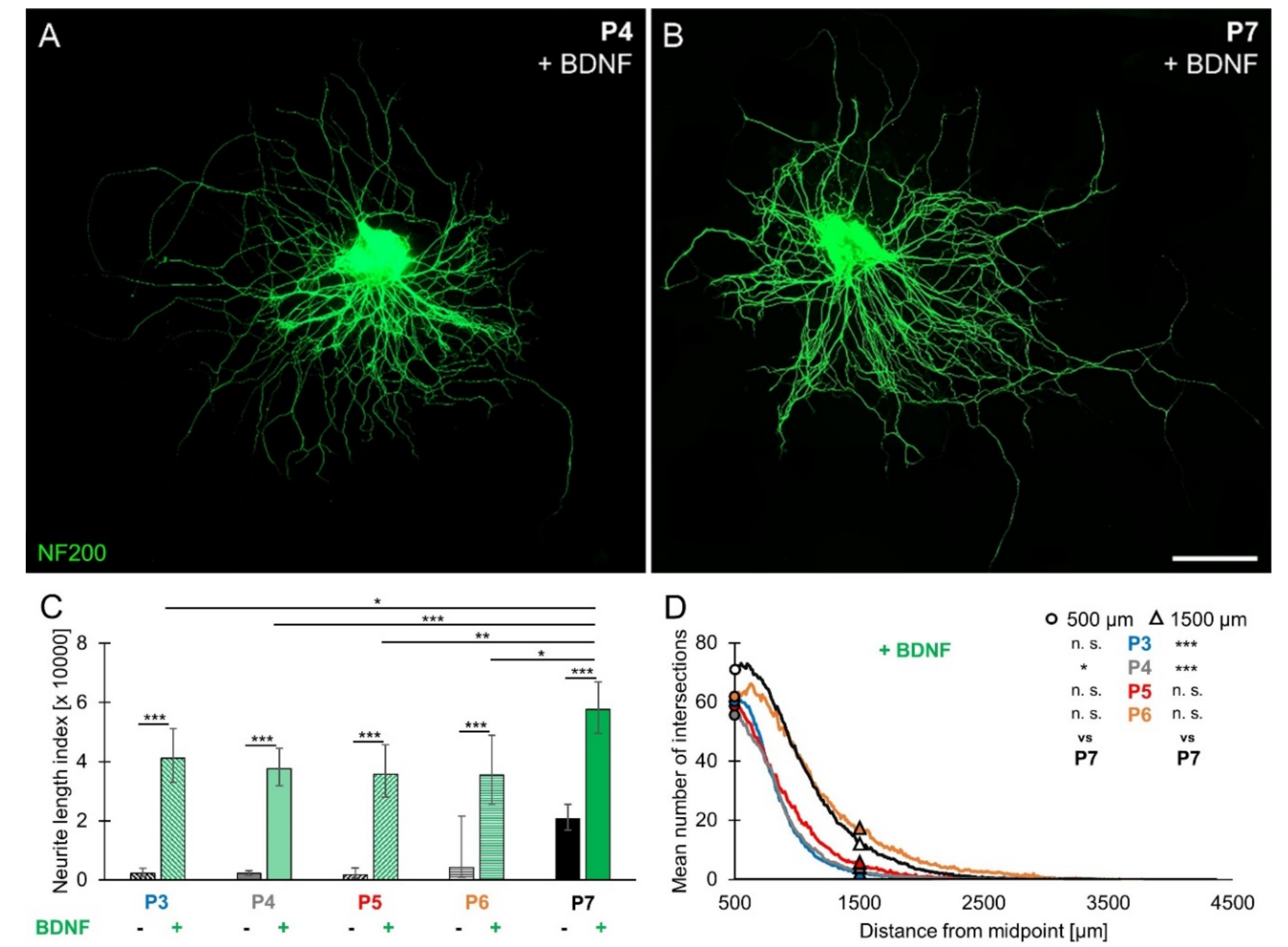 Brainsci 10 00580 g002 Brainsci 10 00580 g002