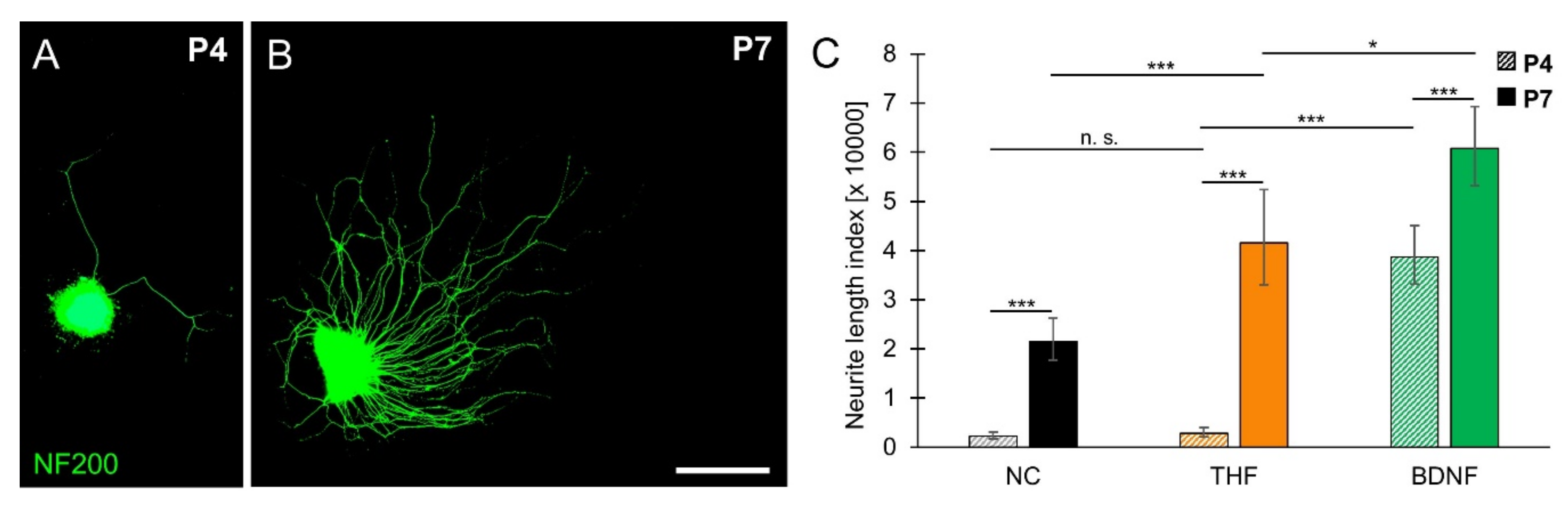Brainsci 10 00580 g004 Brainsci 10 00580 g004