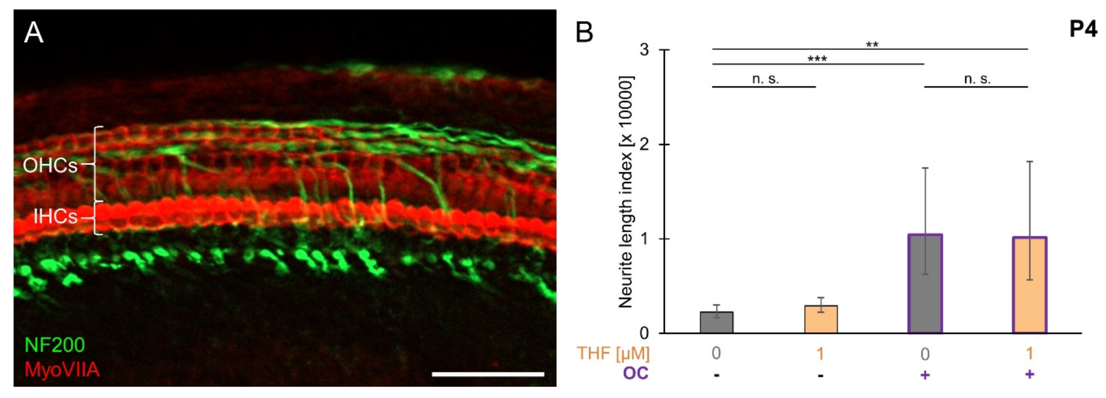 Brainsci 10 00580 g006 Brainsci 10 00580 g006