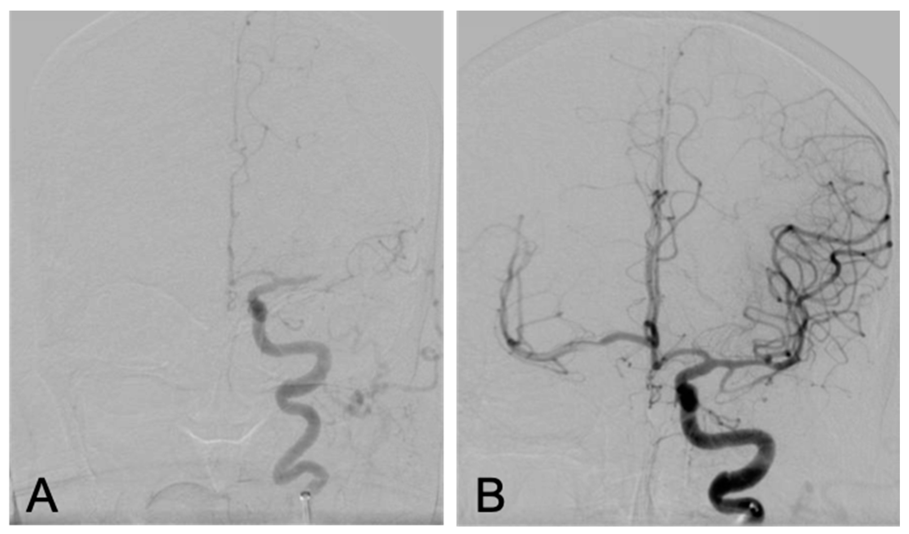 Brainsci 10 00590 g002
