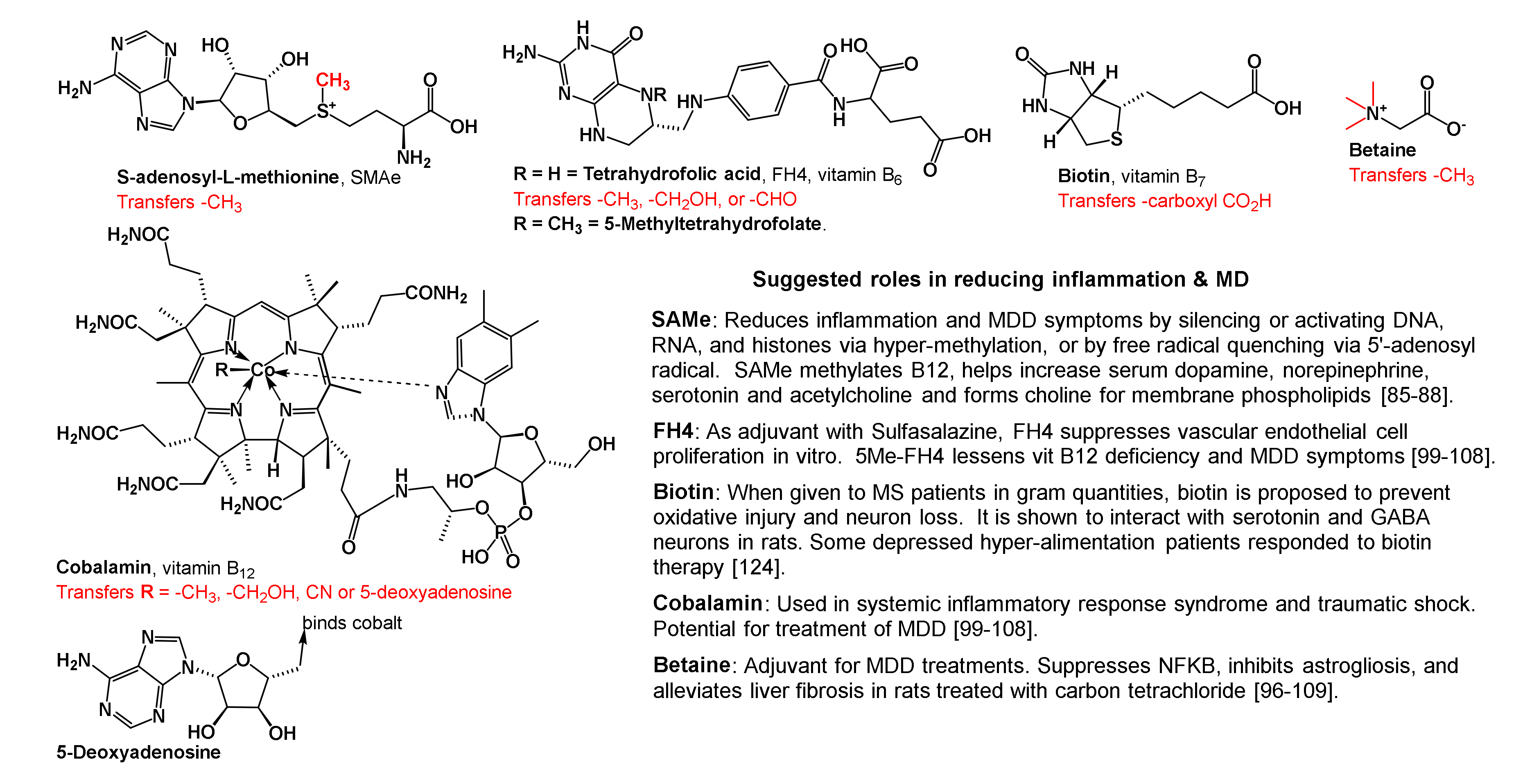 Brainsci 10 00600 i002