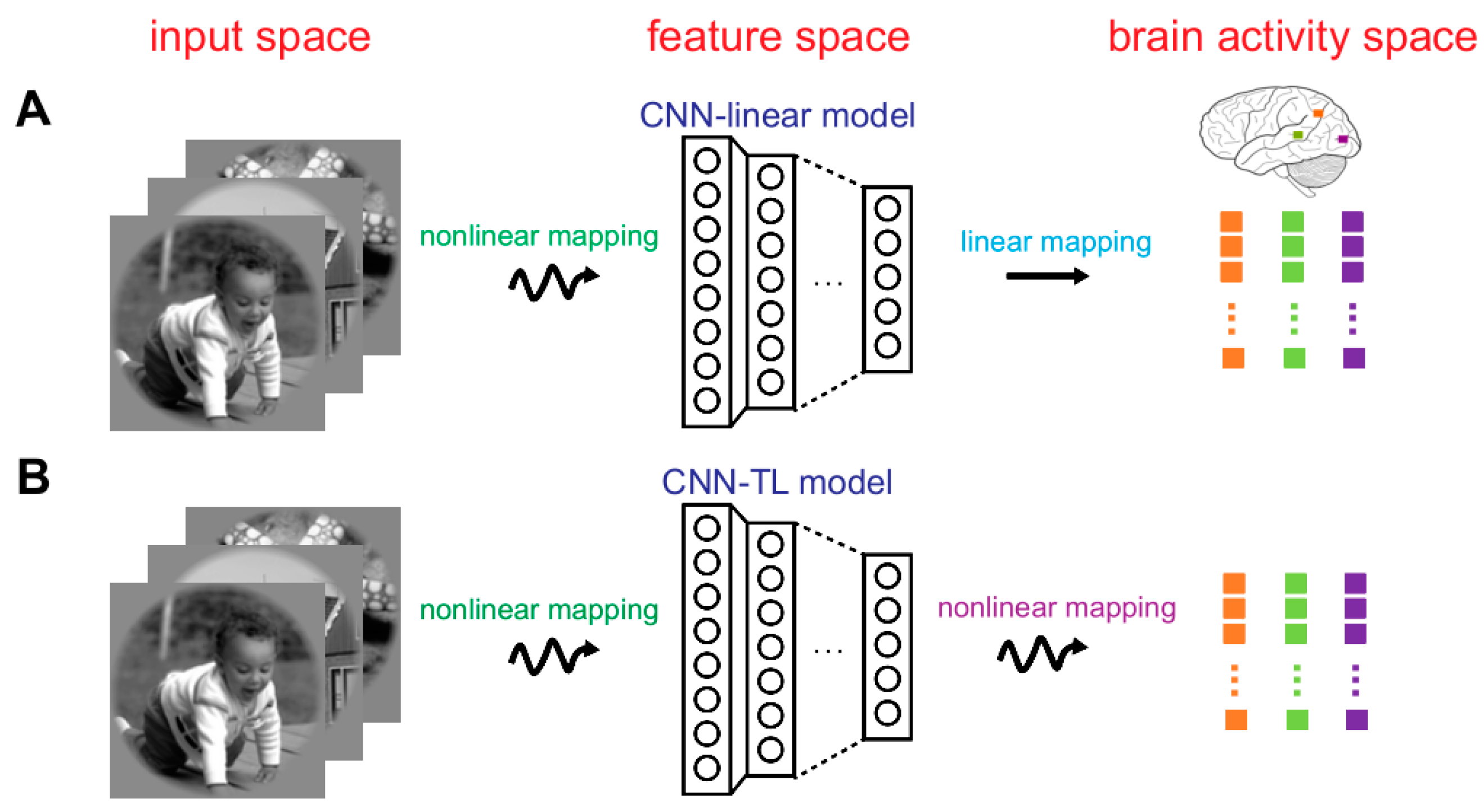 Brainsci 10 00602 g002