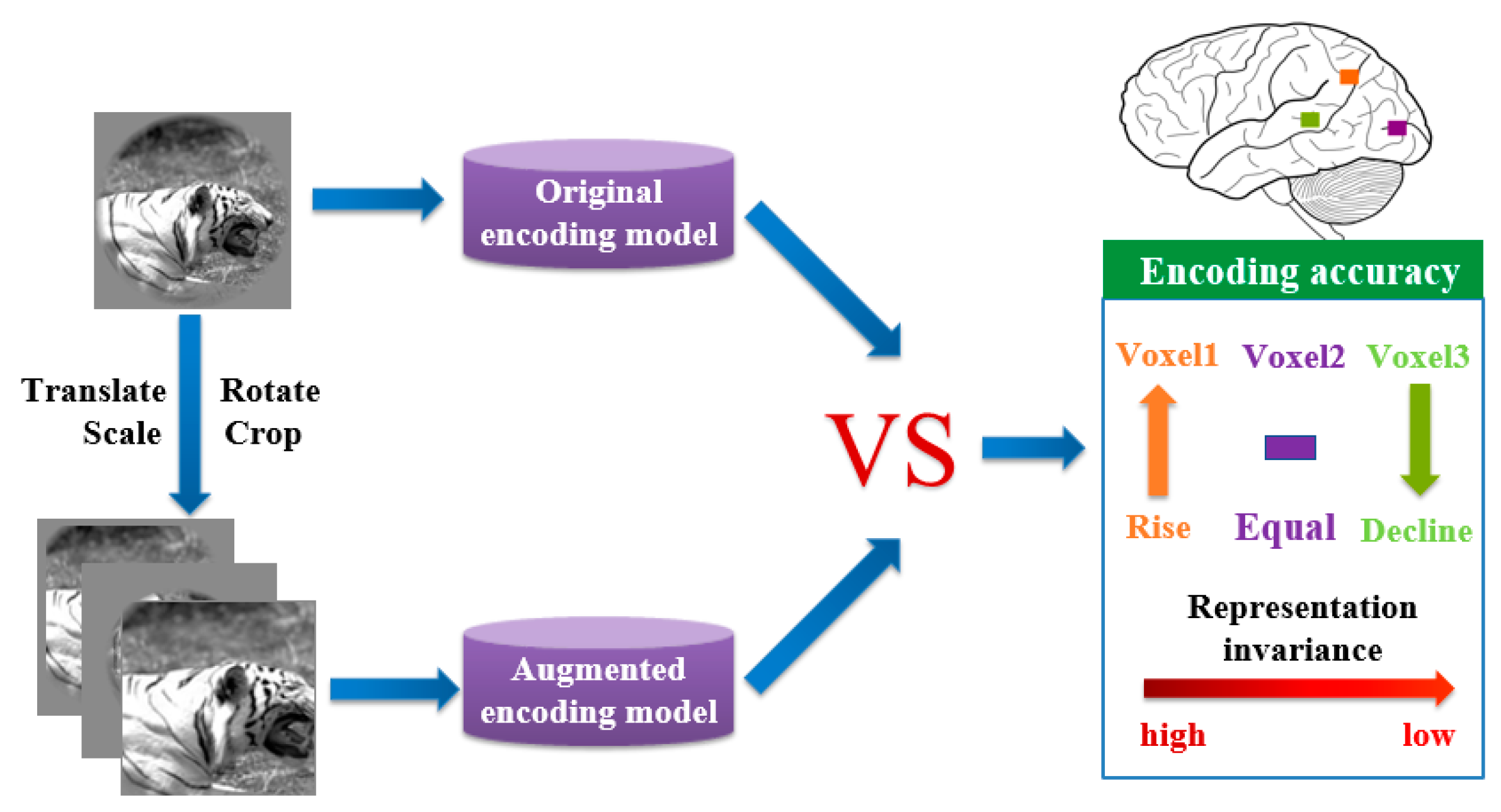Brainsci 10 00602 g003