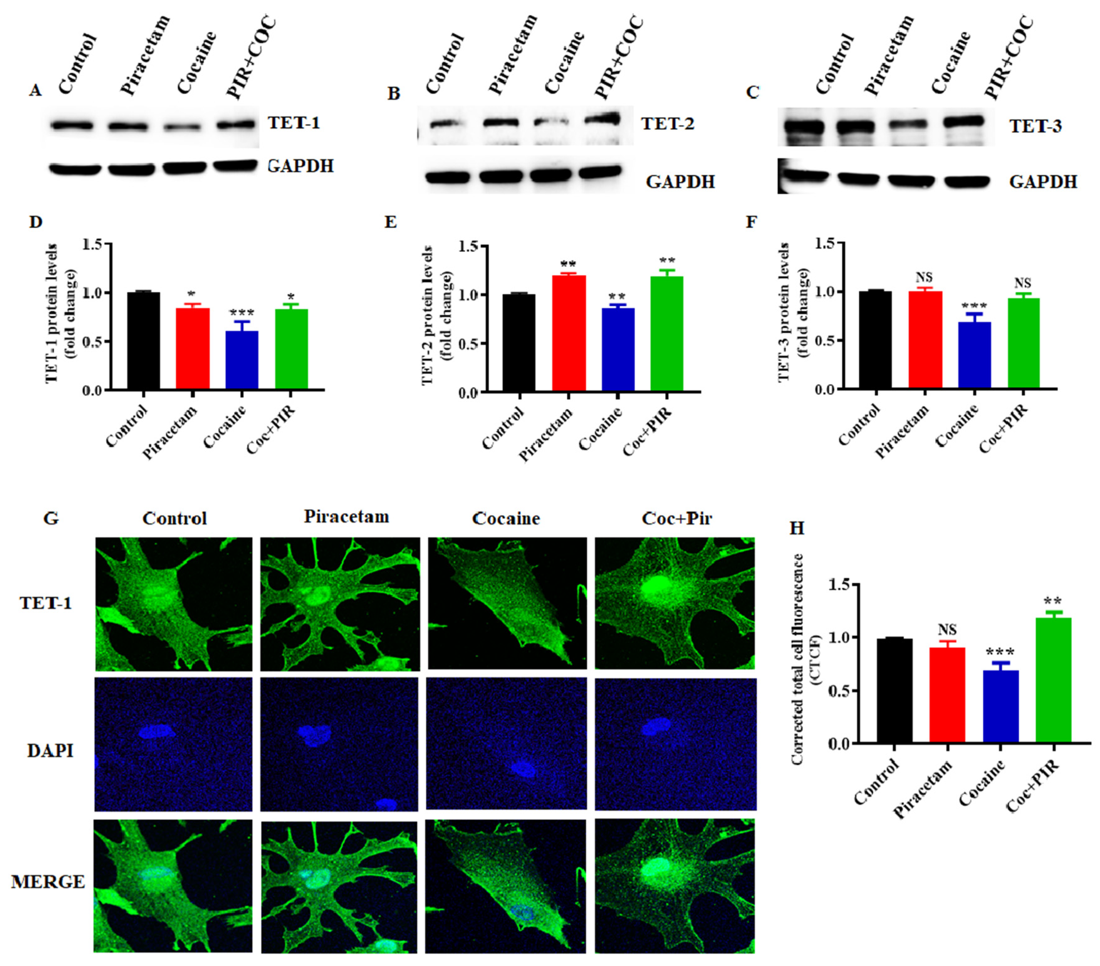 Brainsci 10 00611 g006 Brainsci 10 00611 g006