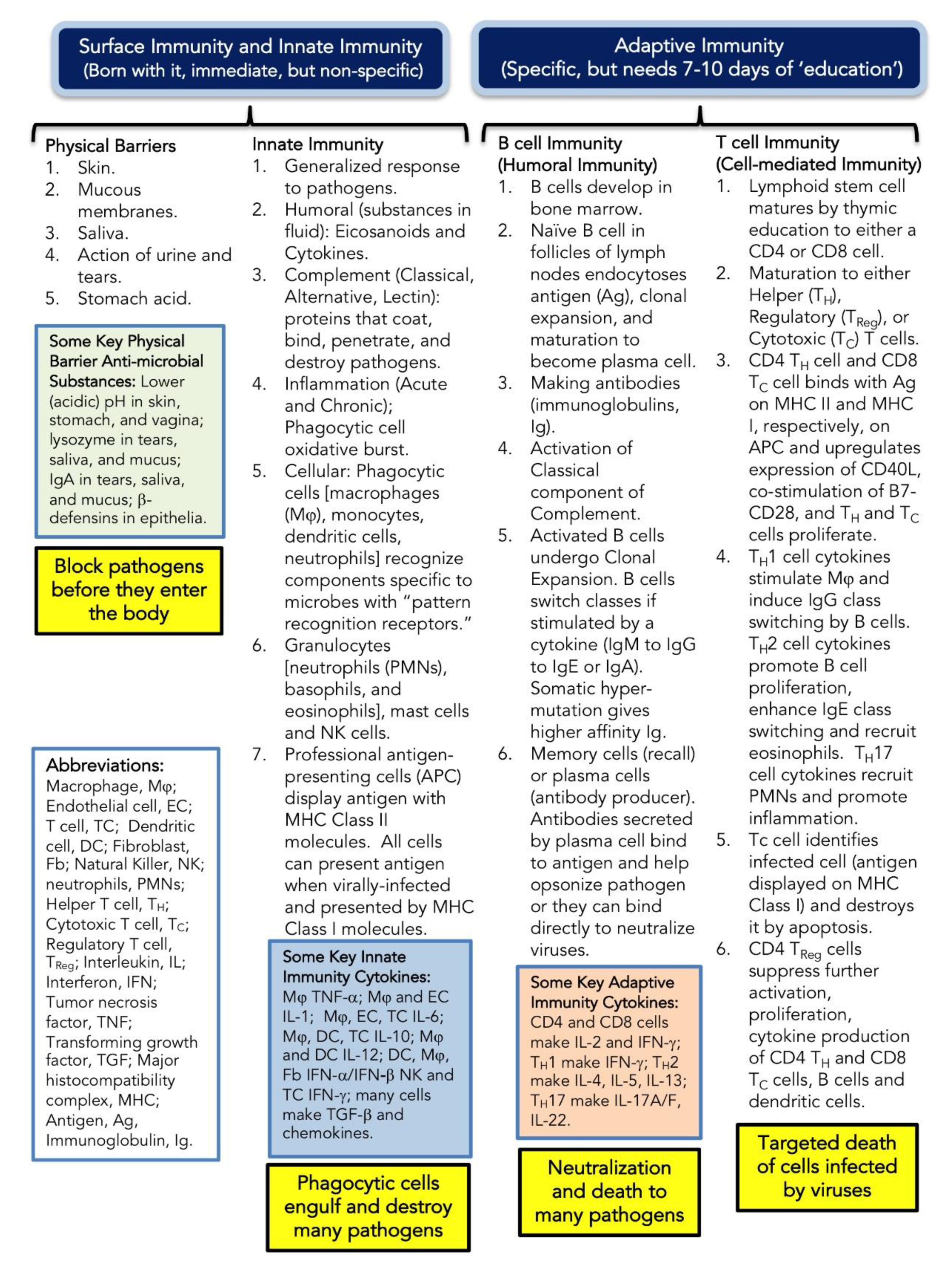 Brainsci 10 00612 g002 Brainsci 10 00612 g002