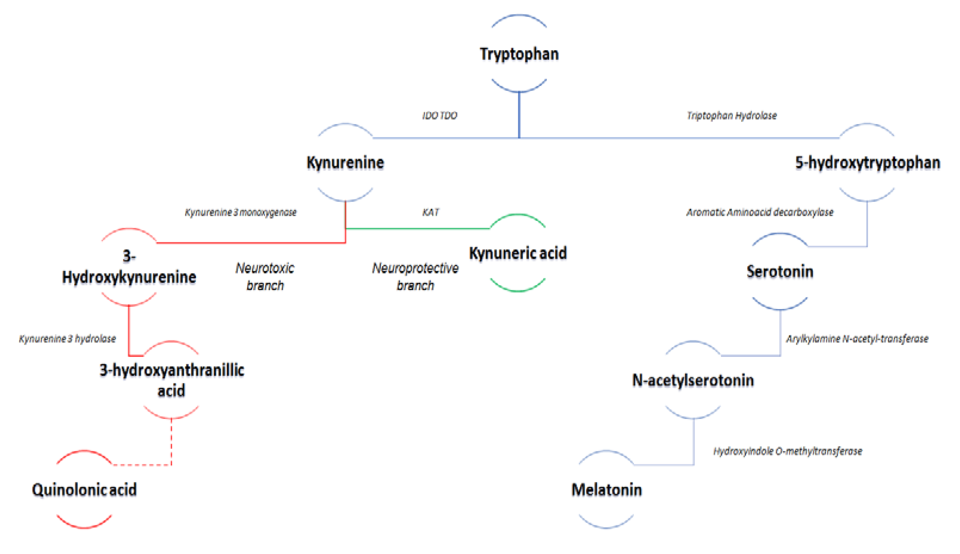Brainsci 10 00631 g001