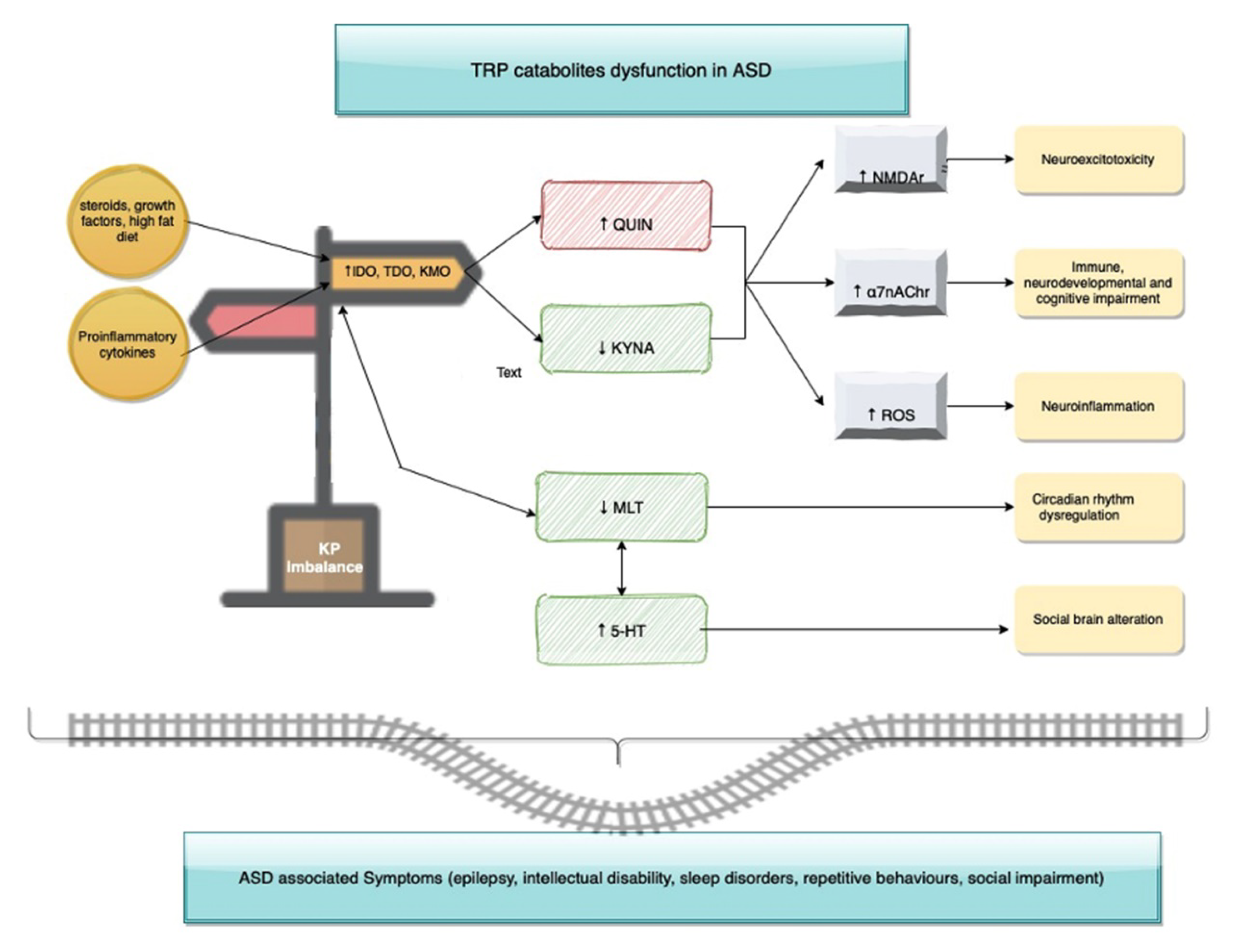 Brainsci 10 00631 g003
