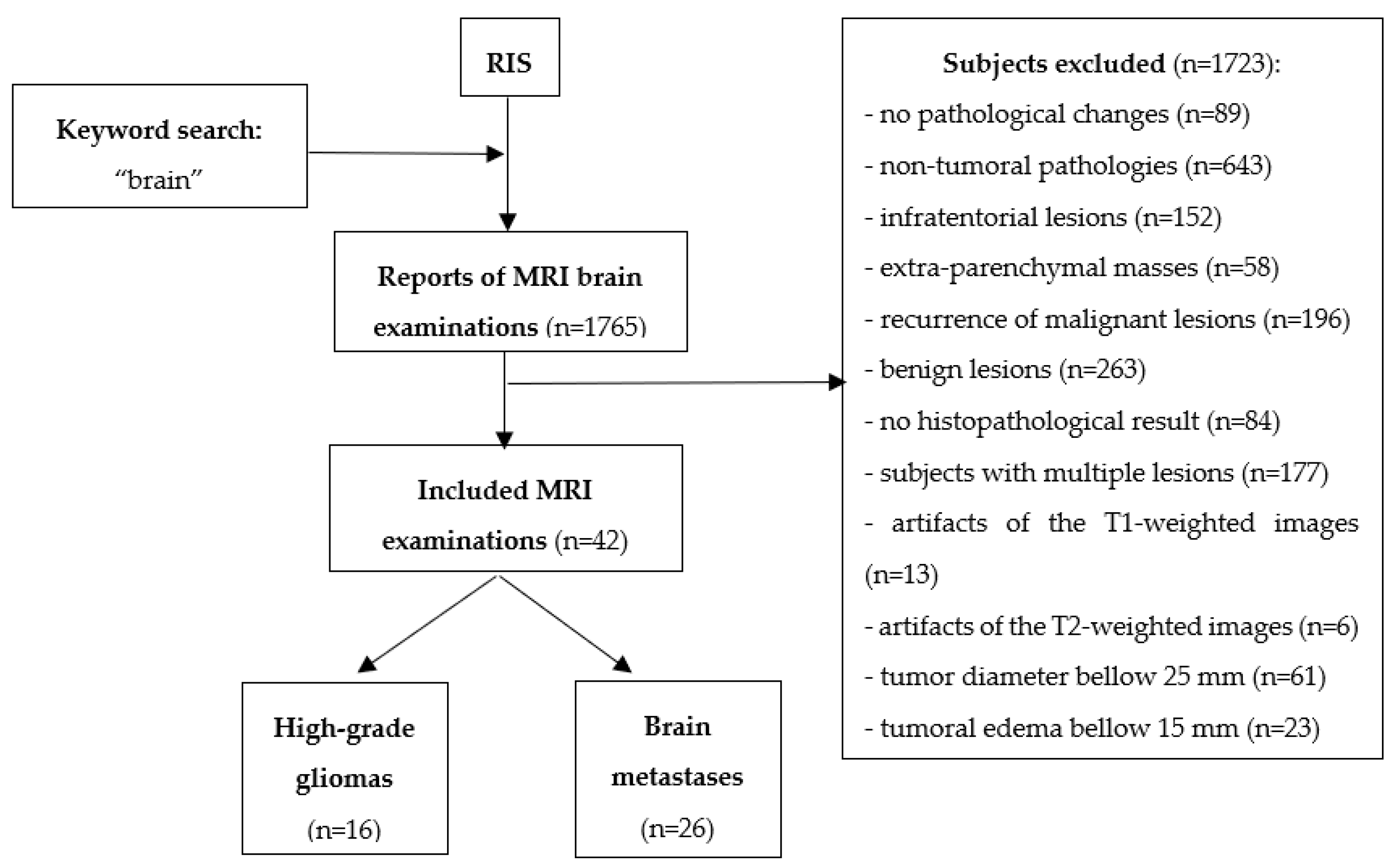 Brainsci 10 00638 g001