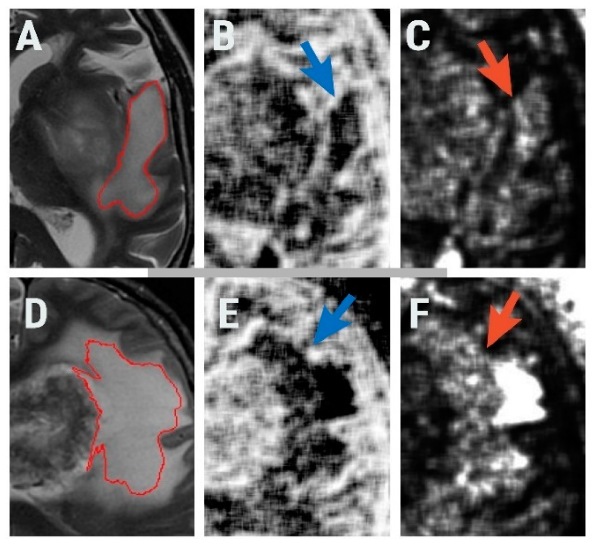 Brainsci 10 00638 g004