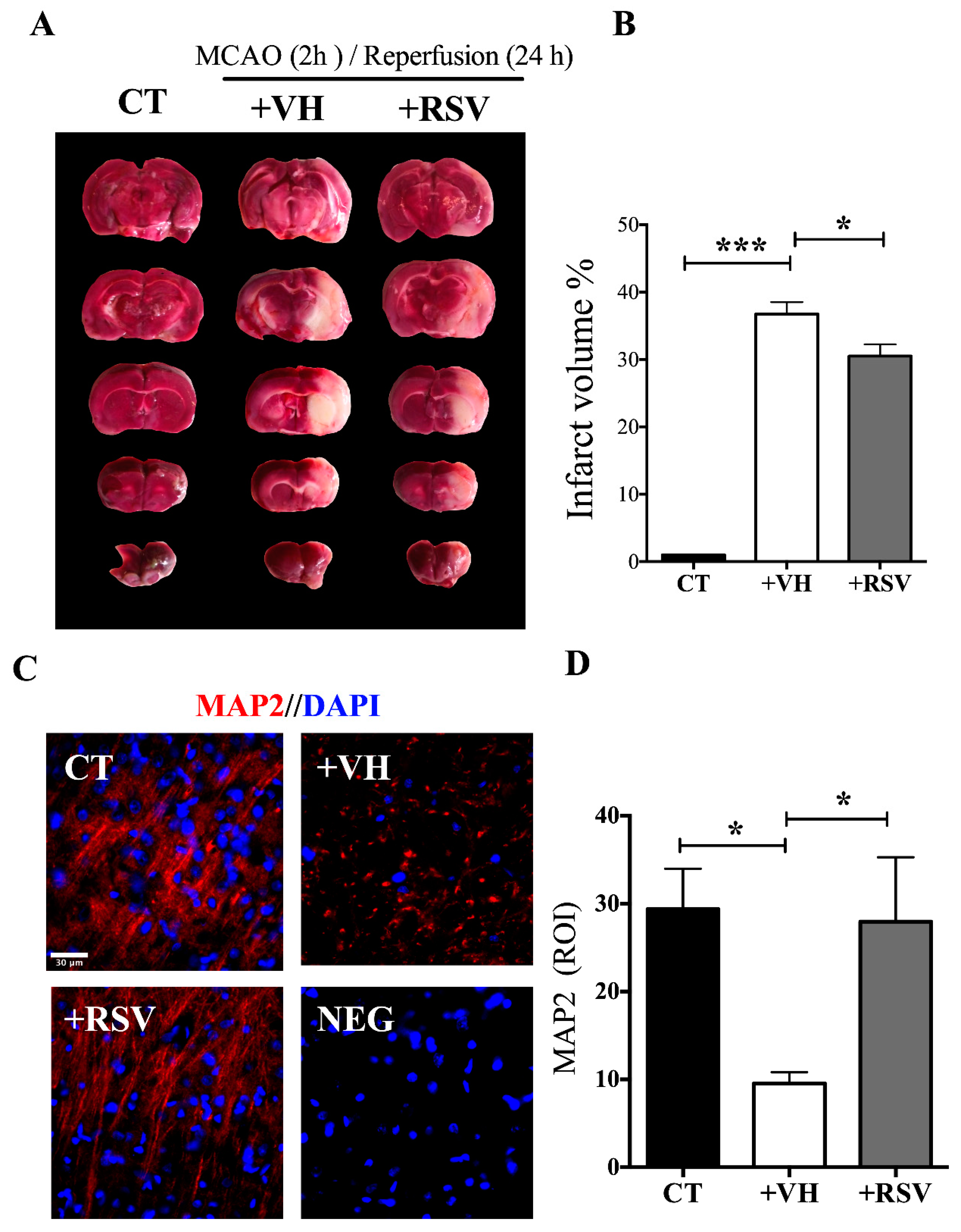 Brainsci 10 00651 g001