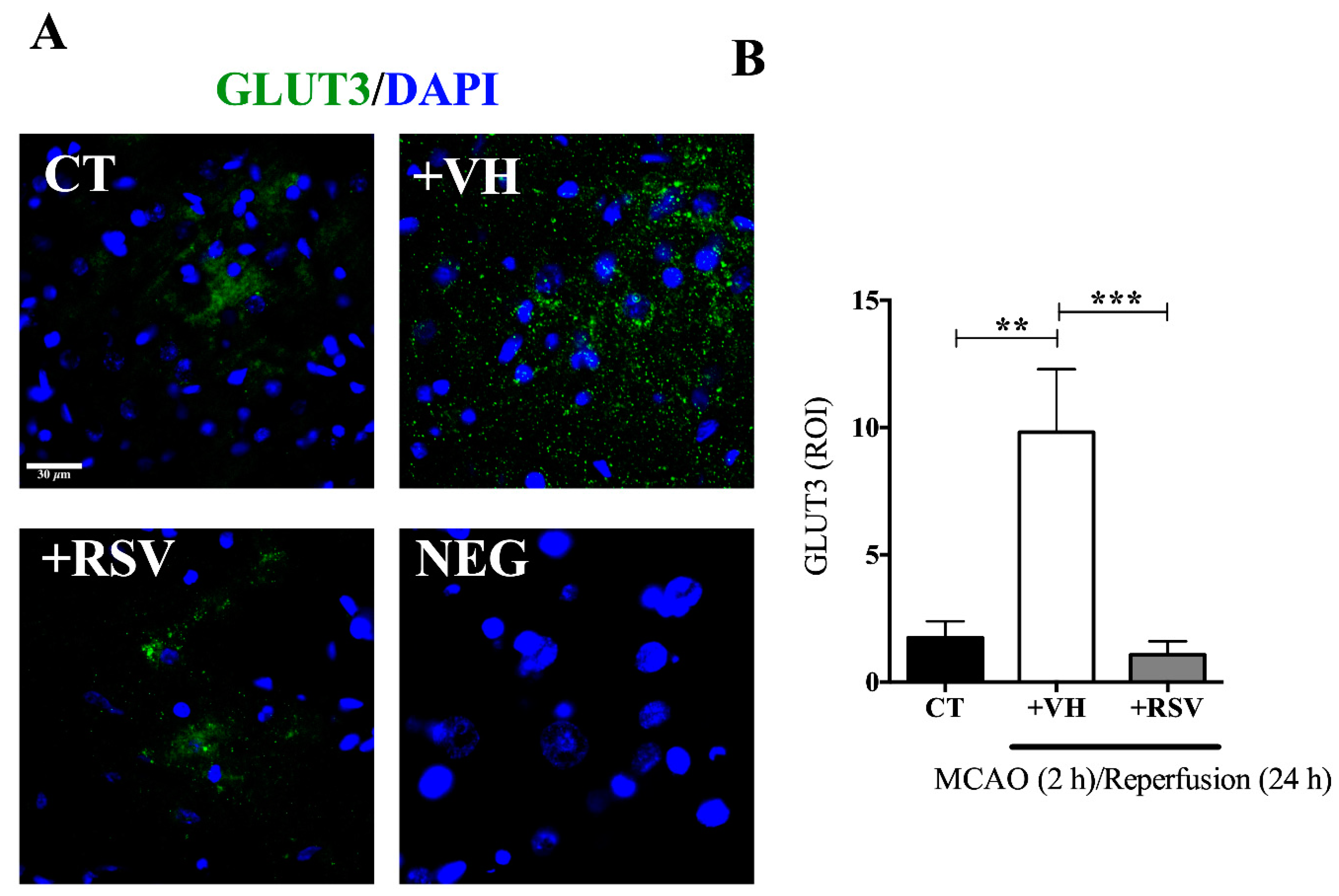 Brainsci 10 00651 g005