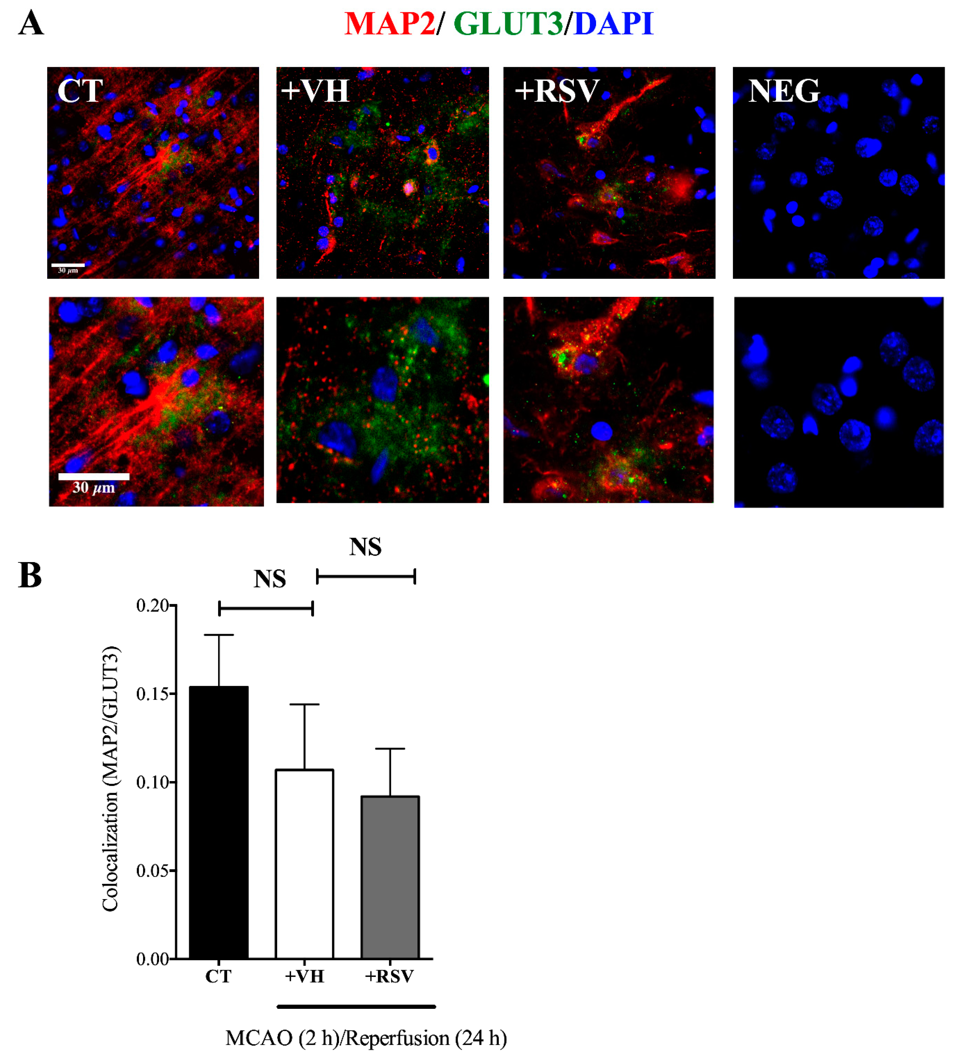 Brainsci 10 00651 g006
