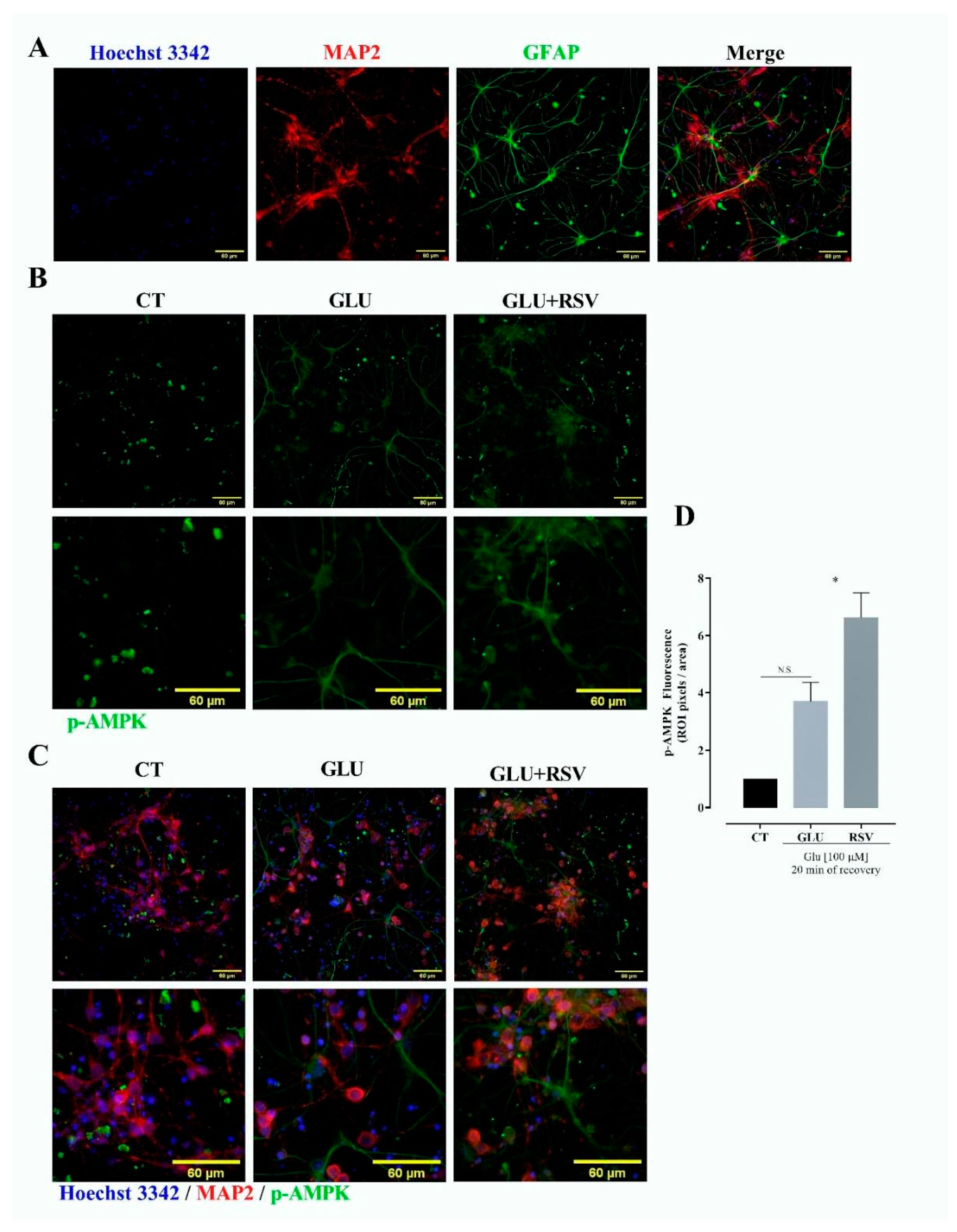 Brainsci 10 00651 g008