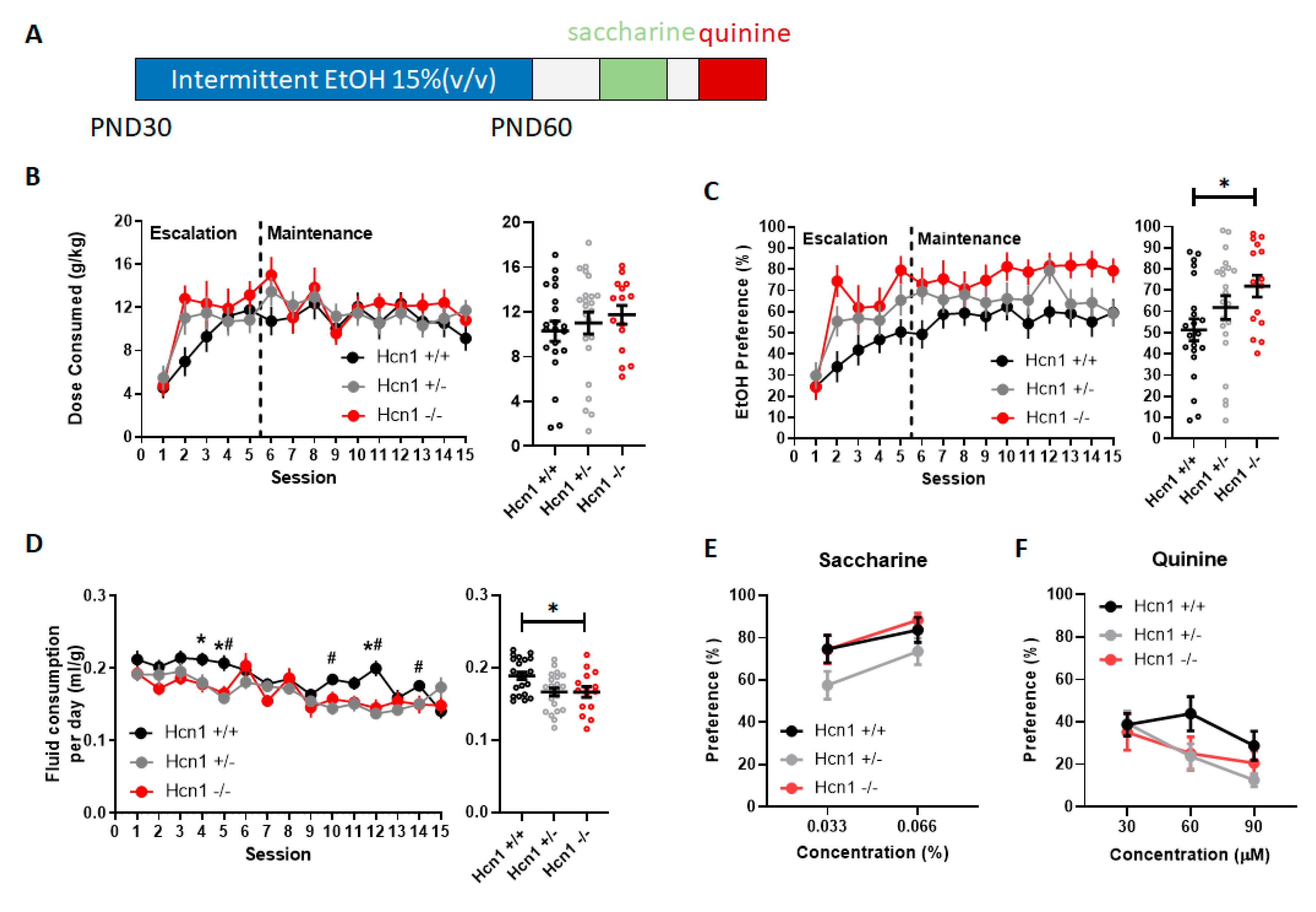 Brainsci 10 00763 g001