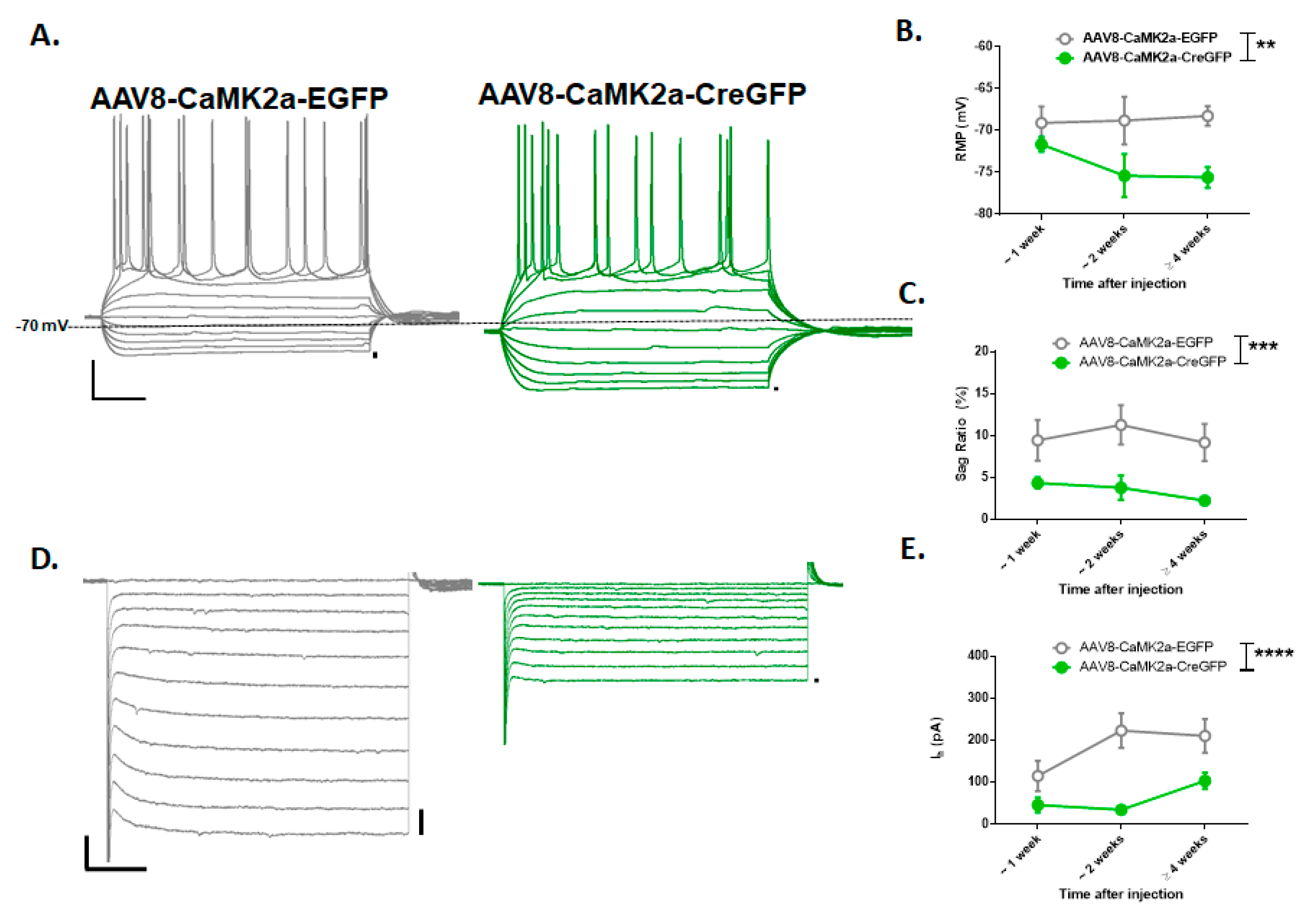 Brainsci 10 00763 g003