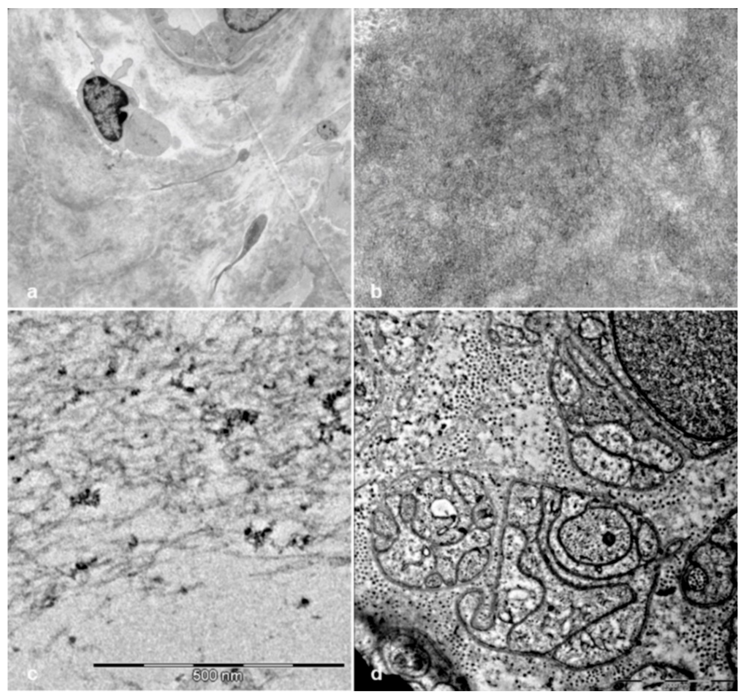 Brainsci 10 00780 g008