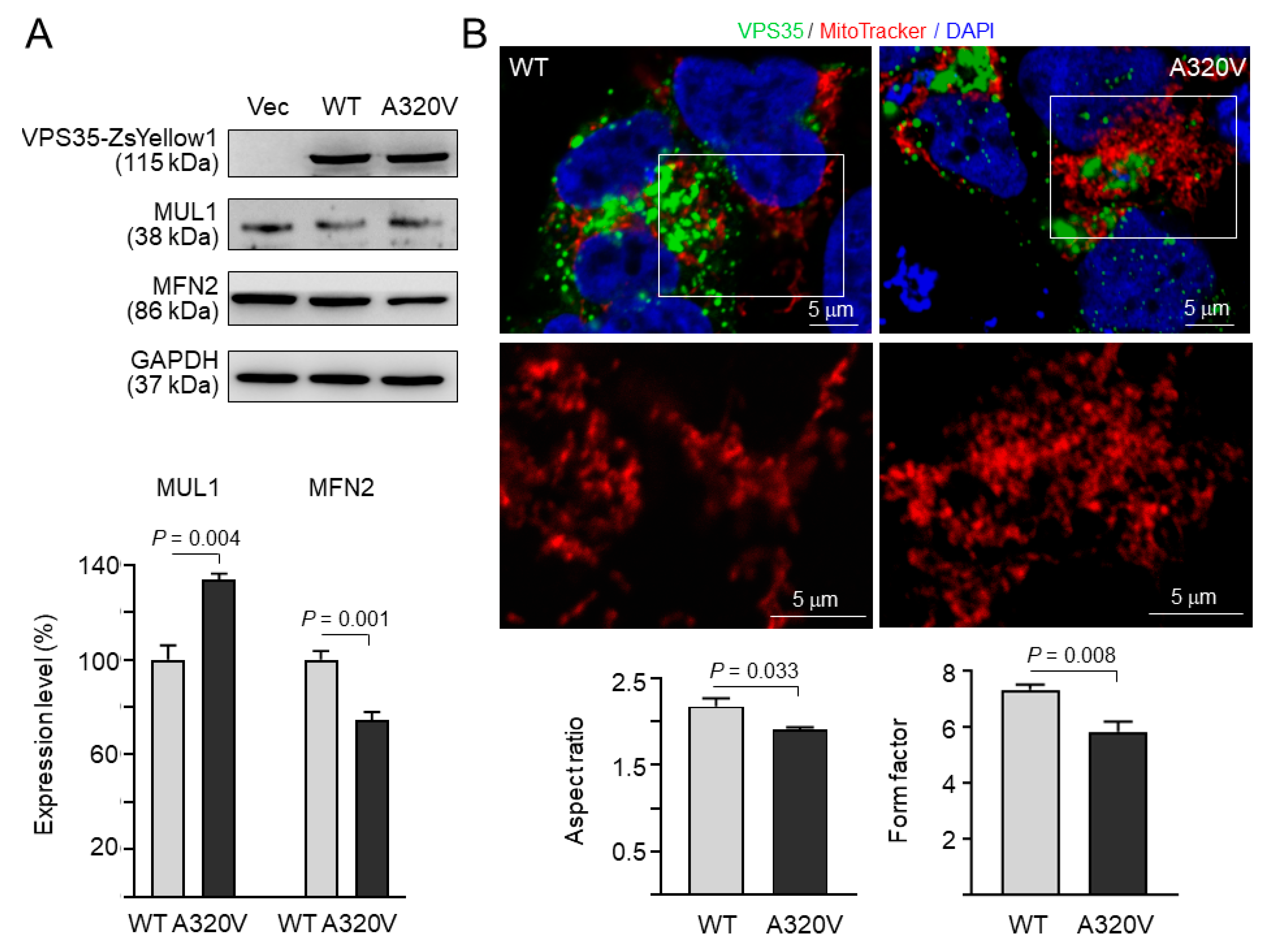 Brainsci 10 00783 g003 Brainsci 10 00783 g003